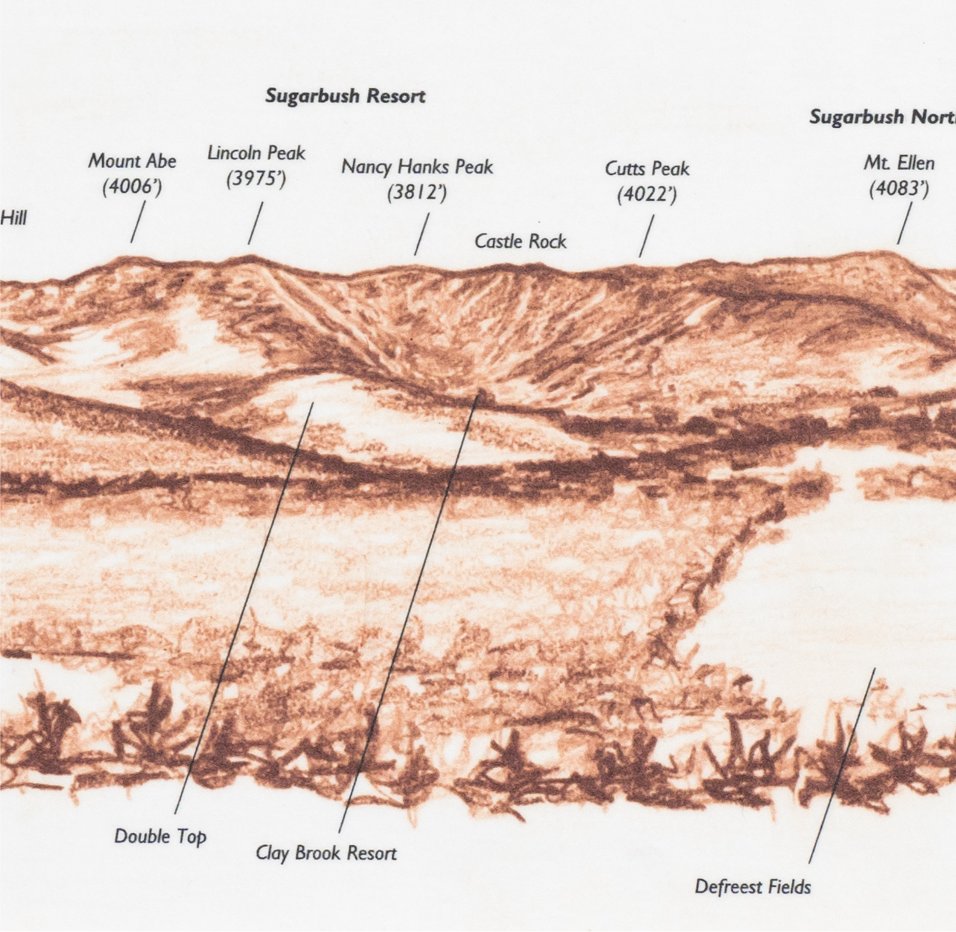 panoramas card.png