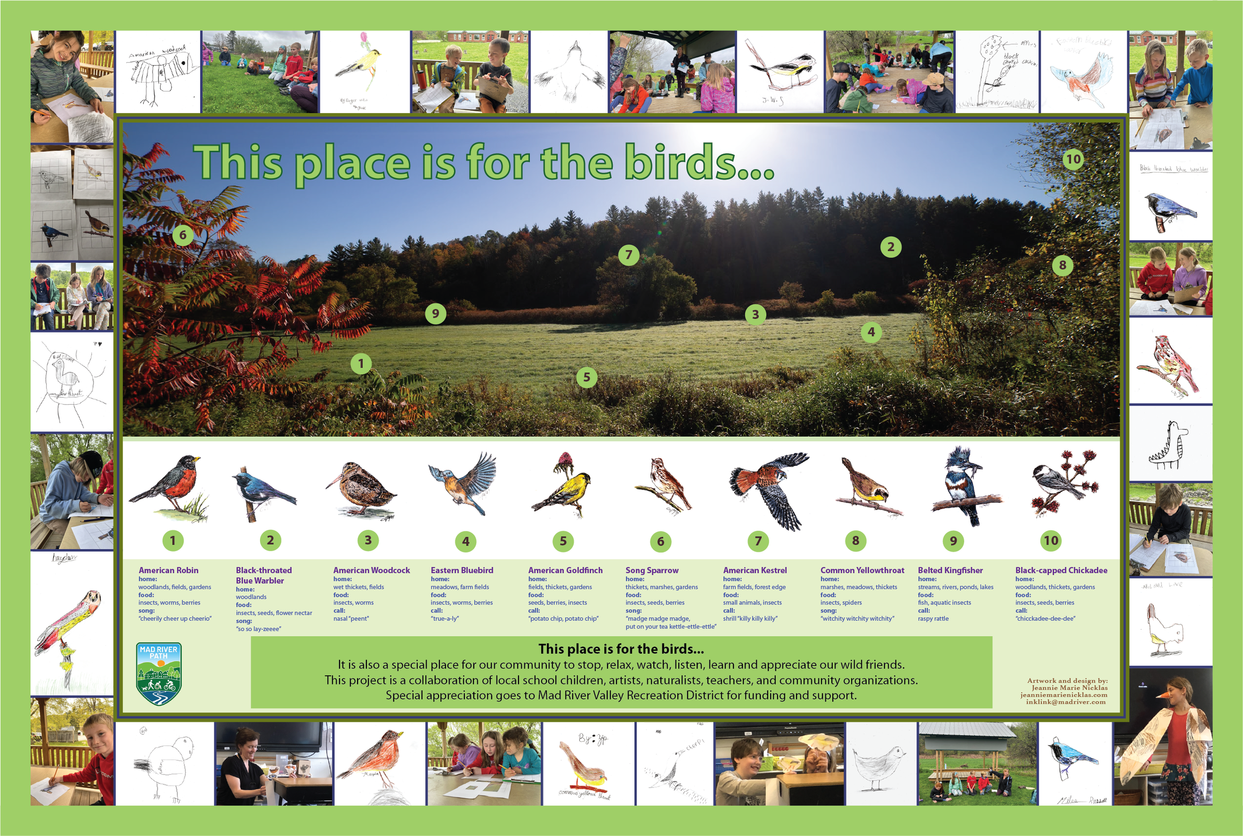 bird's place6.16.png