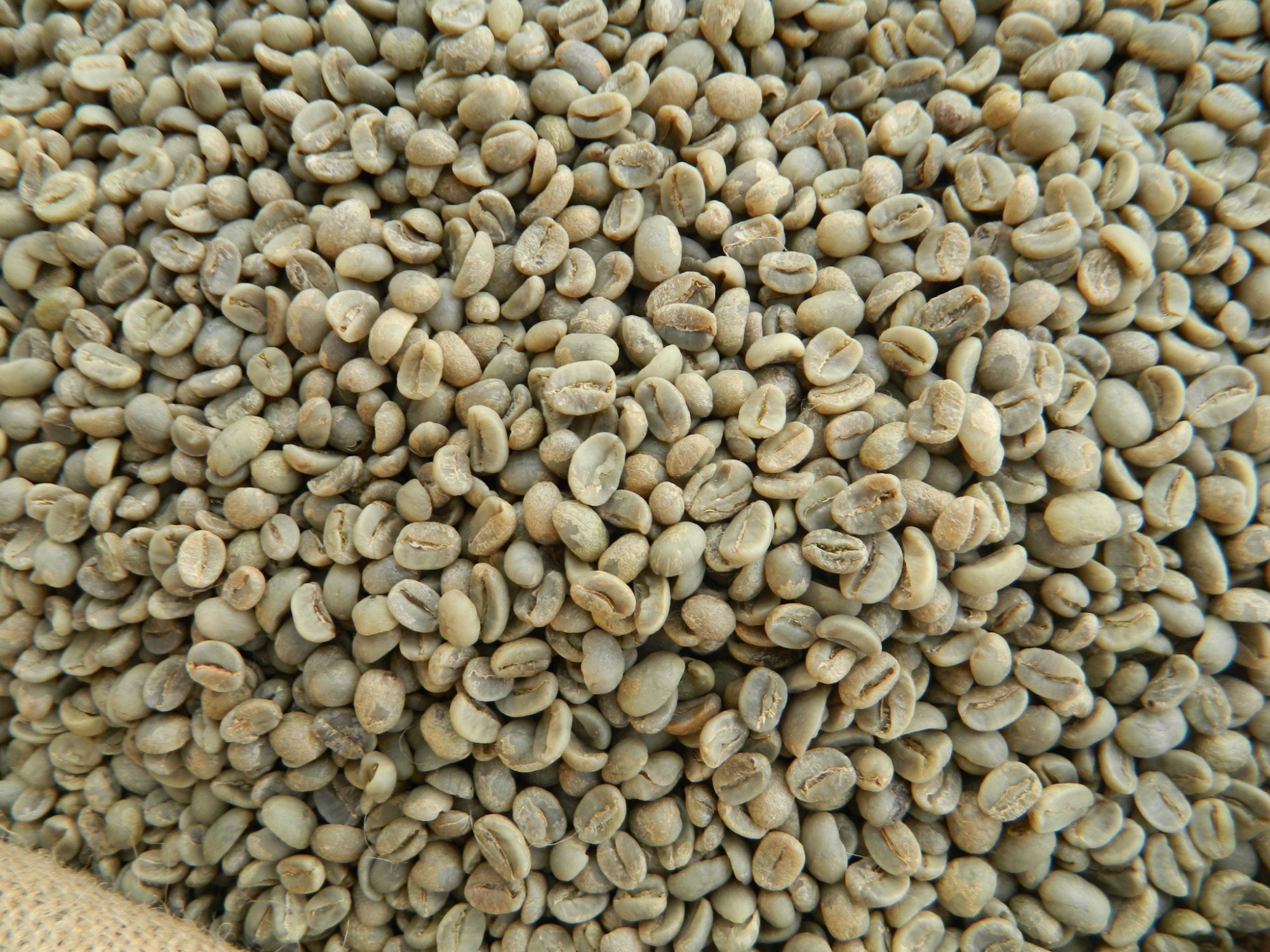 green-coffee-beans.jpeg