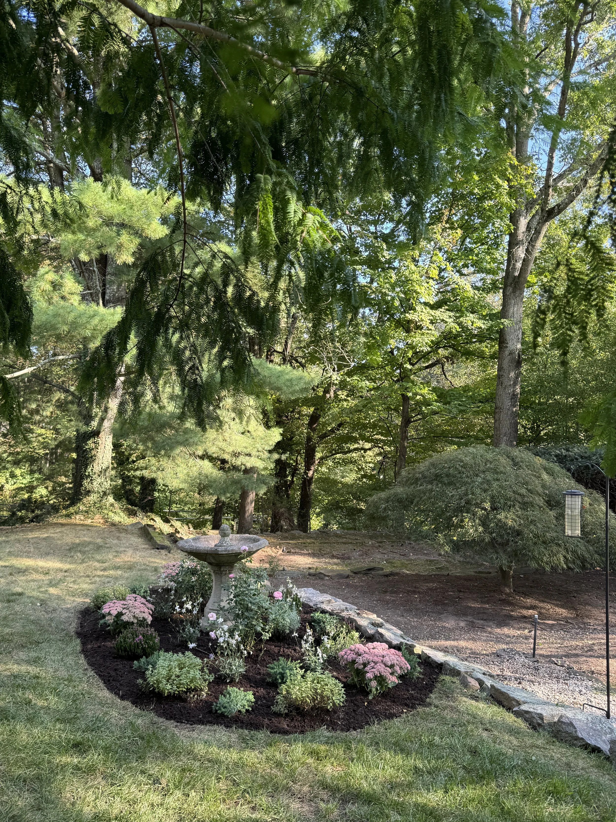 A landscaped garden with a stone birdbath surrounded by pink and white flowers and greenery, shaded by tall trees.