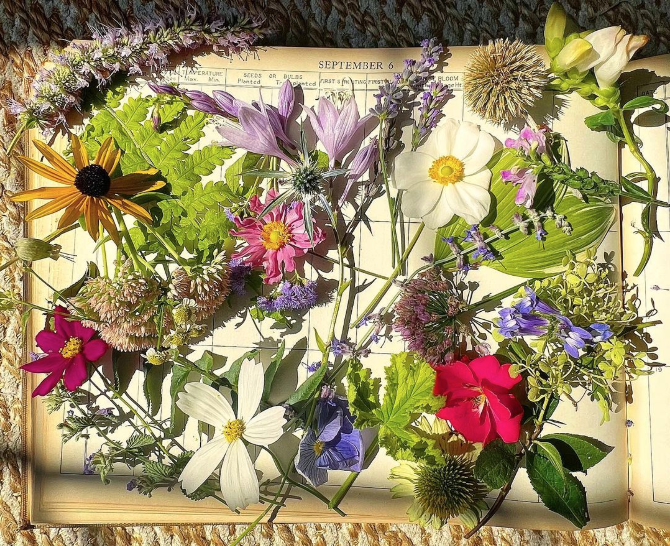An open gardening journal with dried flower arrangements and fresh flowers laid on top, displaying various colorful blooms and green leaves