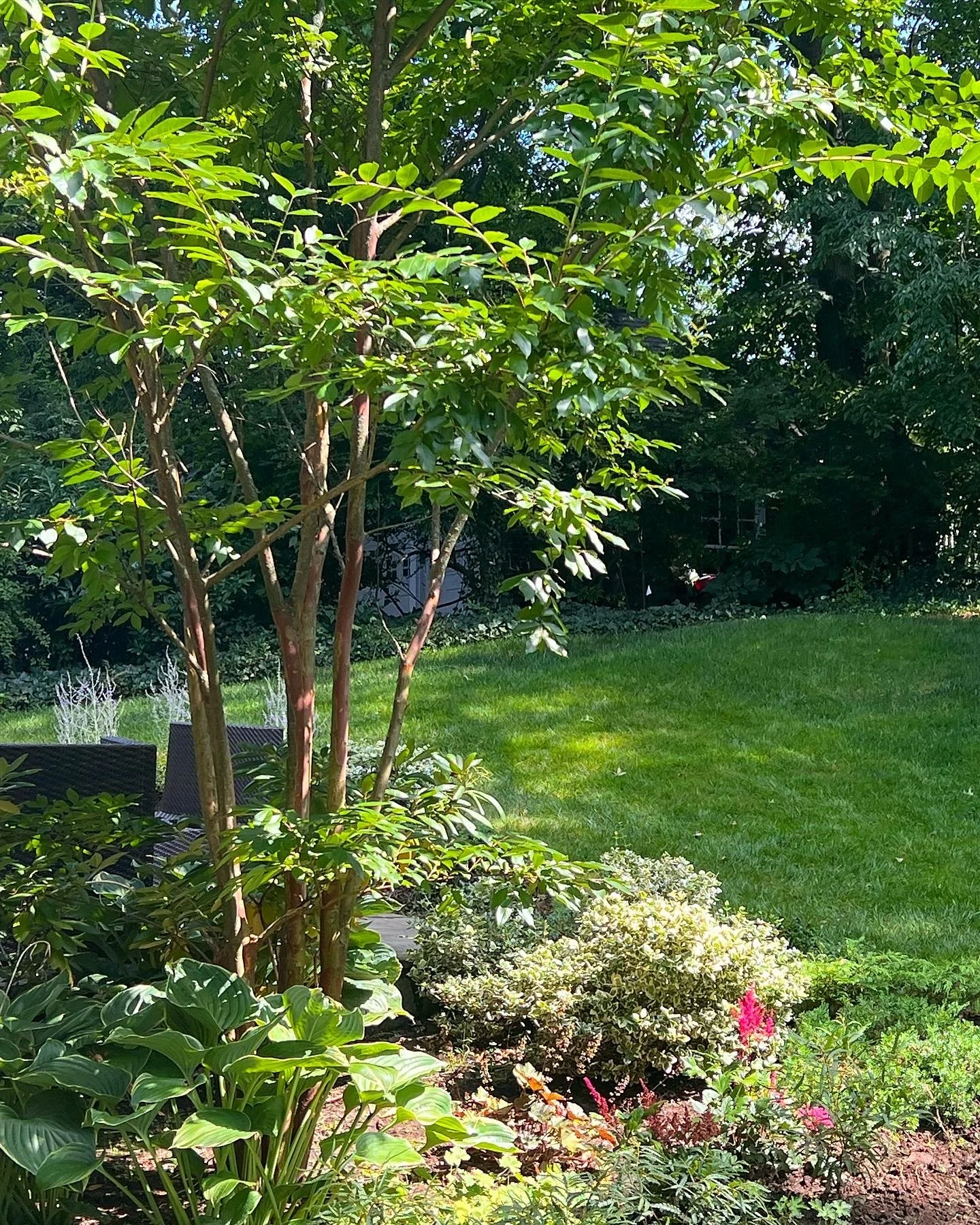 Larchmont Colonial Landscape & Garden Design