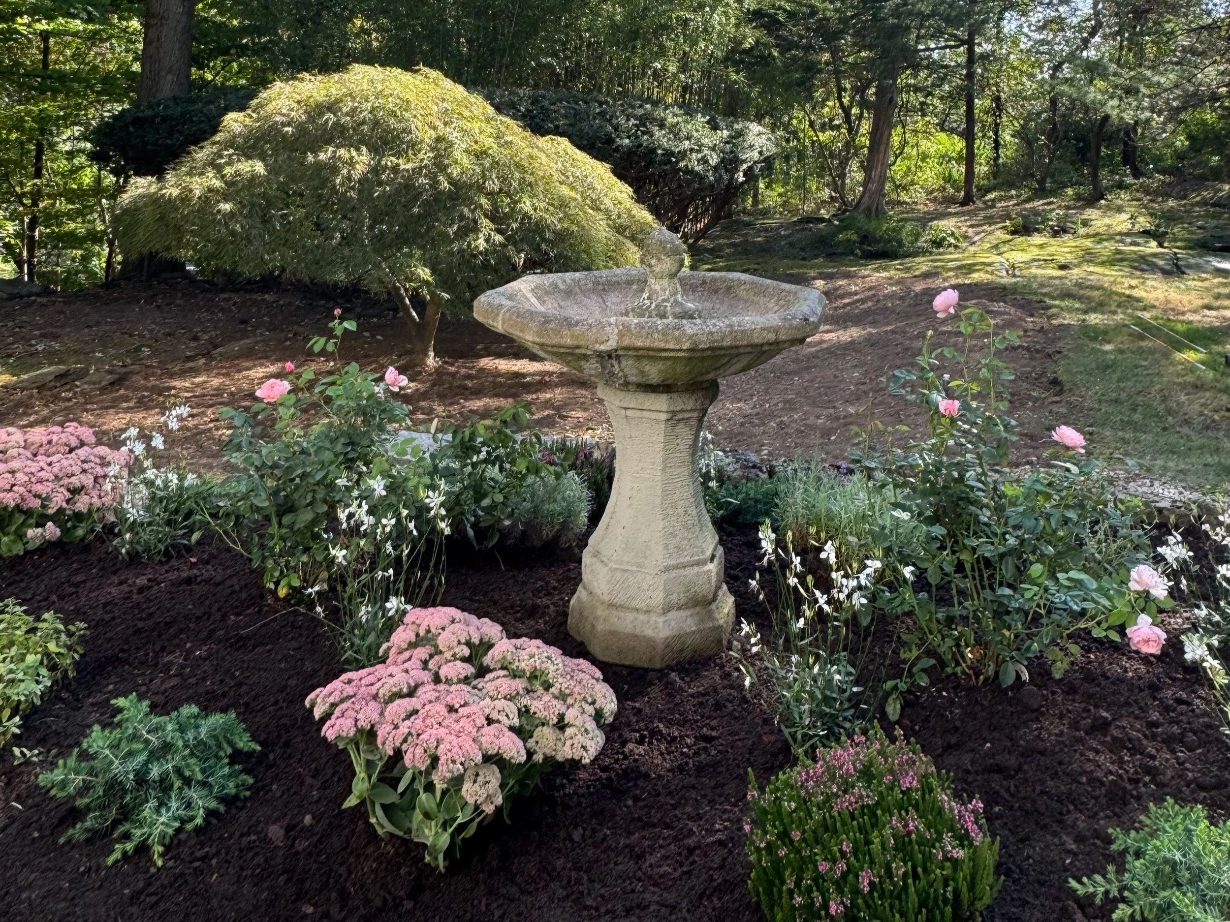 A stone birdbath surrounded by pink and white flowers in a garden with trees in the background.