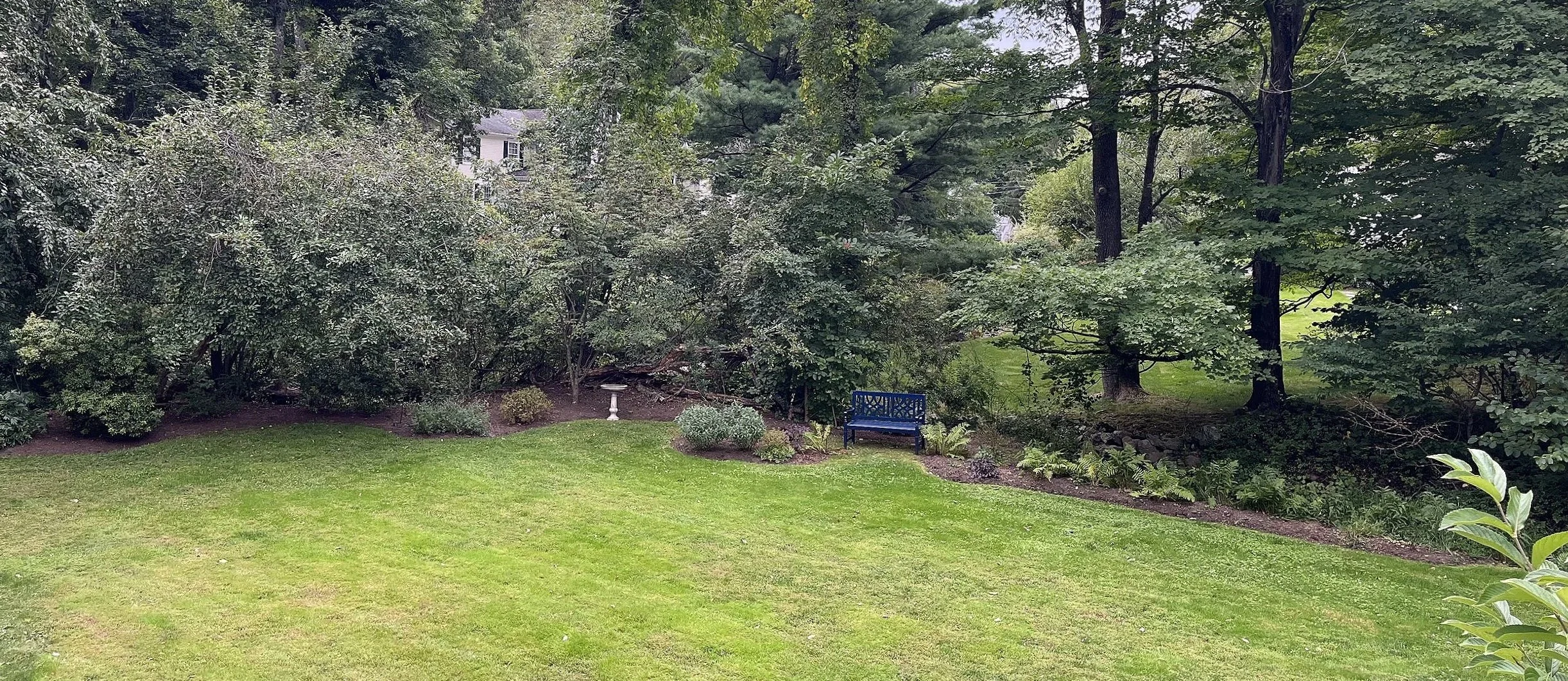 Woodland Garden & Patio Design