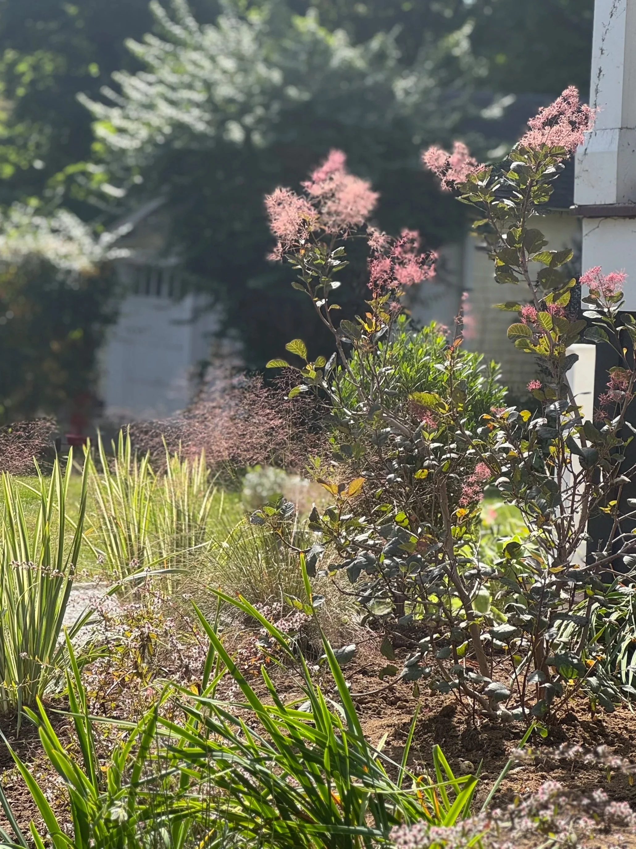 Victorian Home, Pelham Manor, NY