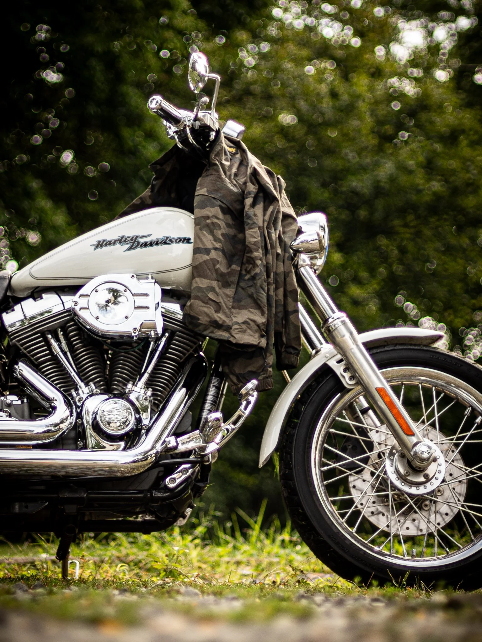 website placeholder-5.jpg