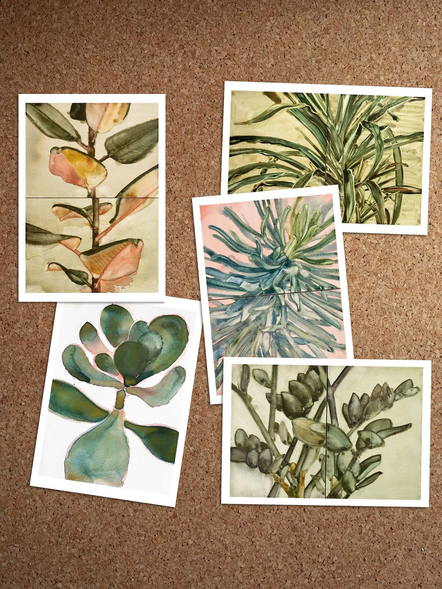 Noah Carter postcards