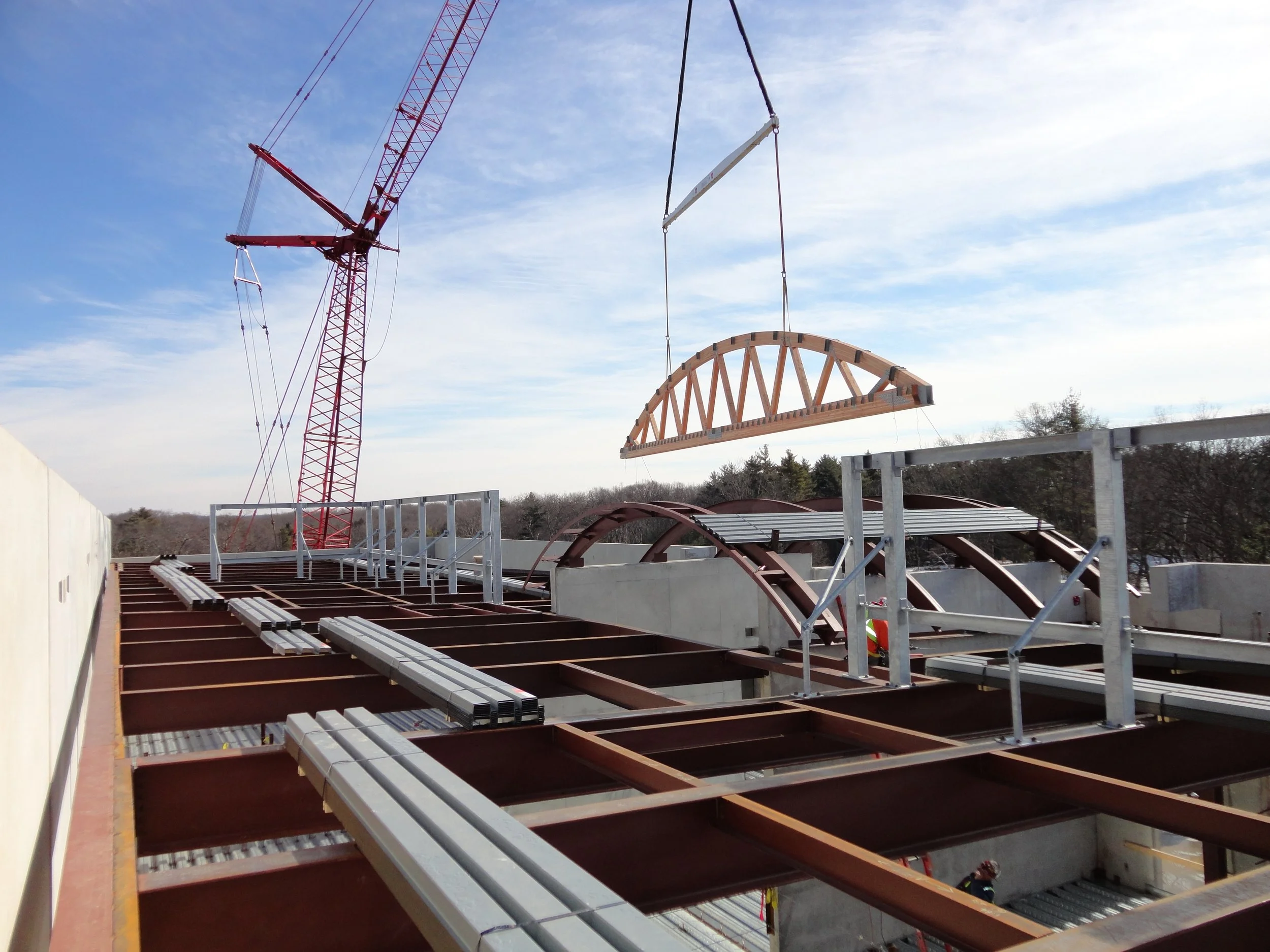 Swinging over us.JPG