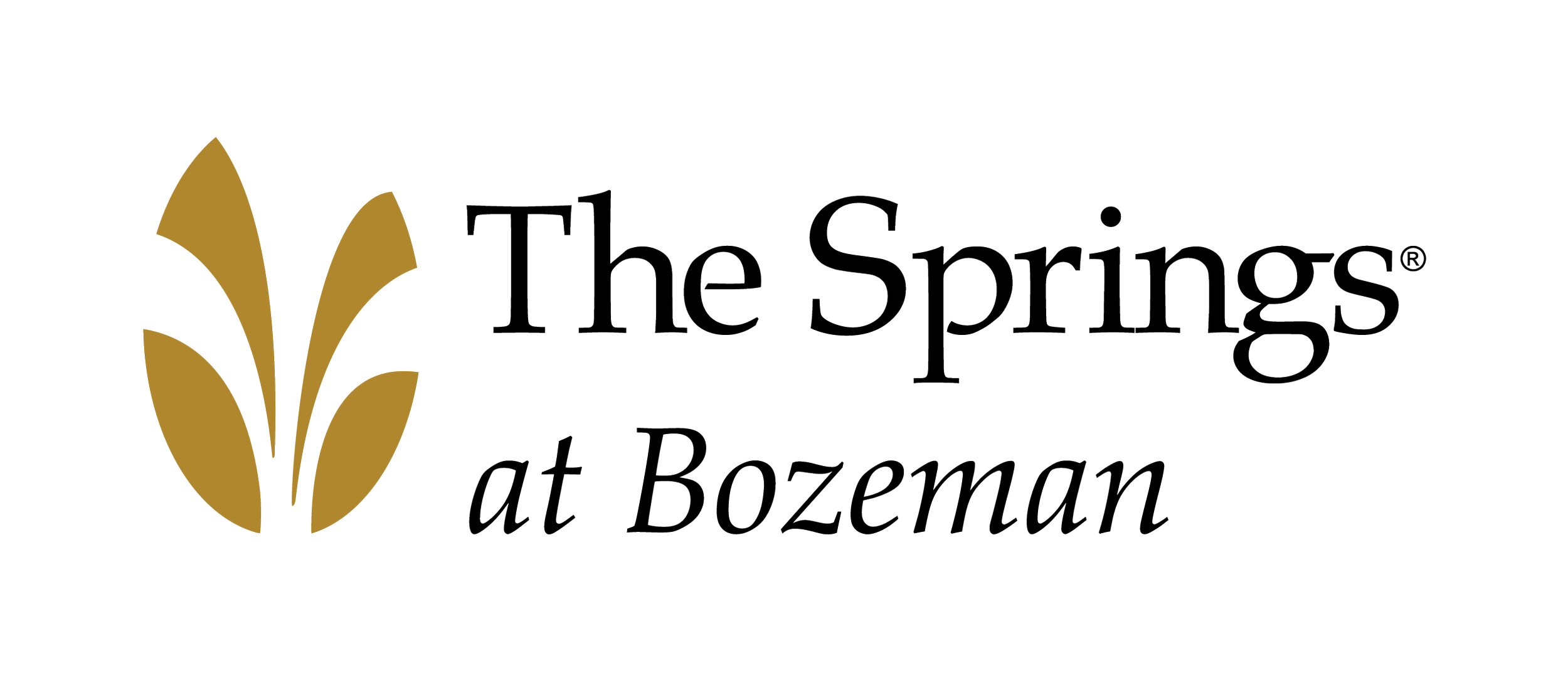 Correct Logo 2025 - BPW Programs.png