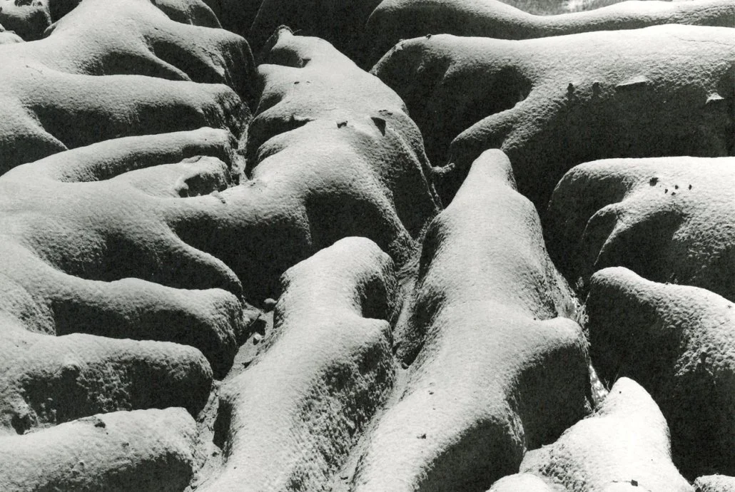 Opening Day | Ray Van Nes: The Modernist View