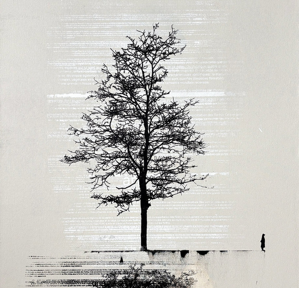 Closing | Denis Dulude &amp; Benjamin Rodger @ Galerie St. Laurent + Hill 