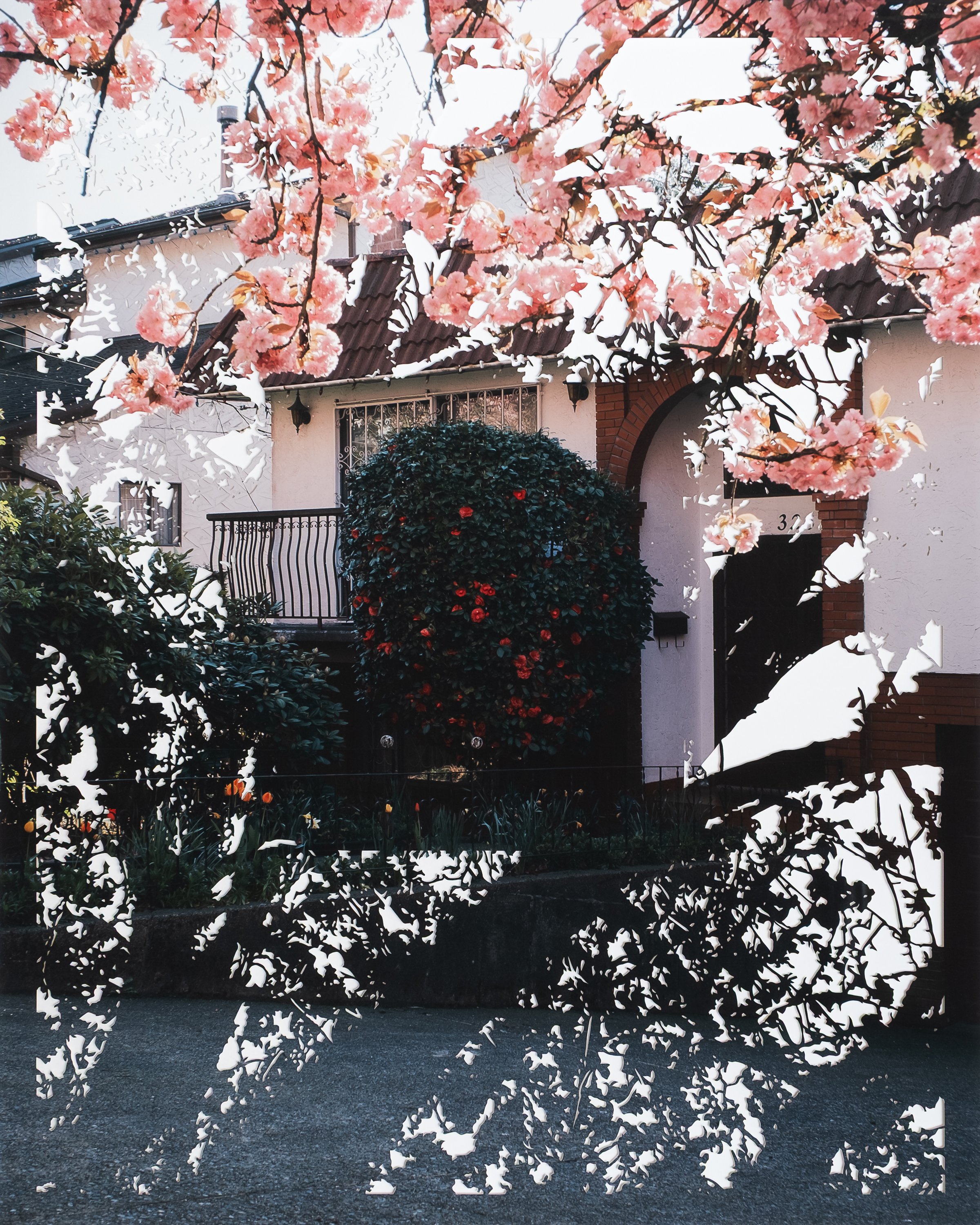 Fiona Freemark. Vancouver Roses, 2026. Hand-cut photograph on Hahnemuhle photo rag paper. 40 x 33 inches (framed). Dianna Witte Gallery.