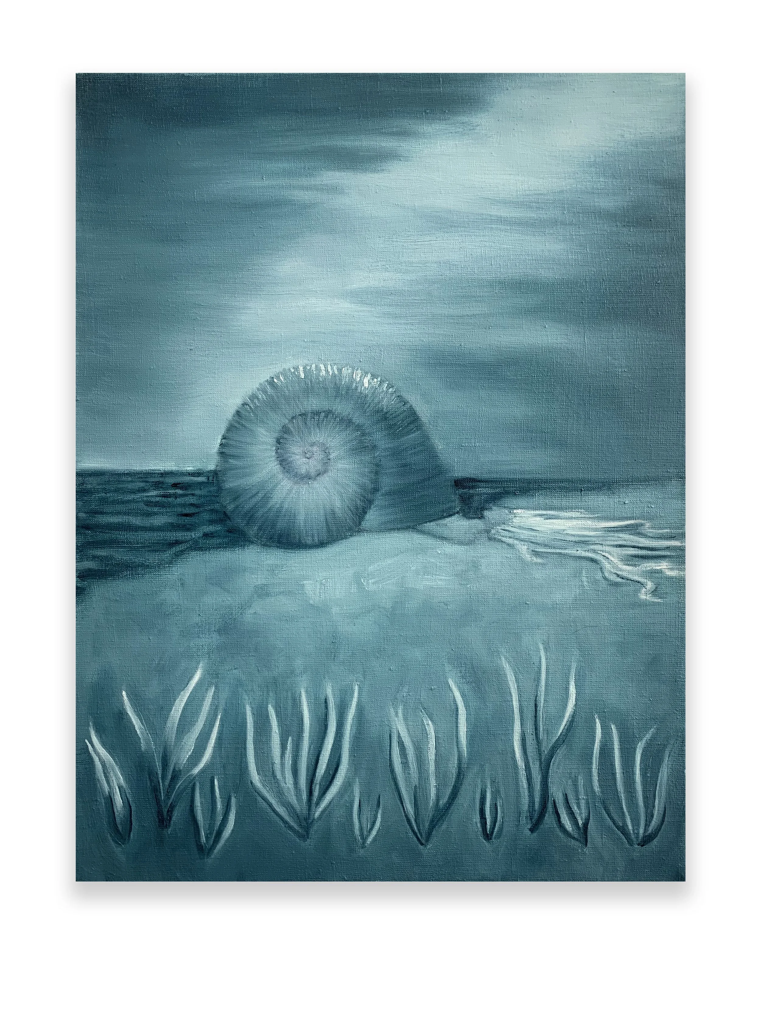 Aphrodite (Phlato), 2025, oil on linen
16” x 12,” $1,200