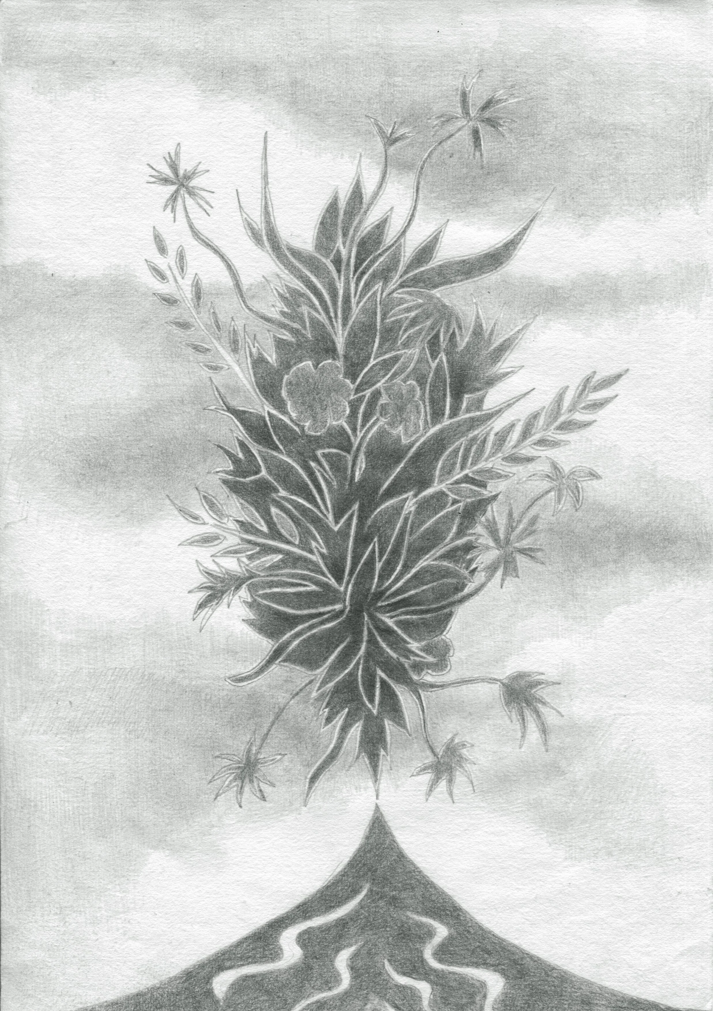 Spring, 2020, graphite on Japanese paper
8.25” x 11.75, $800