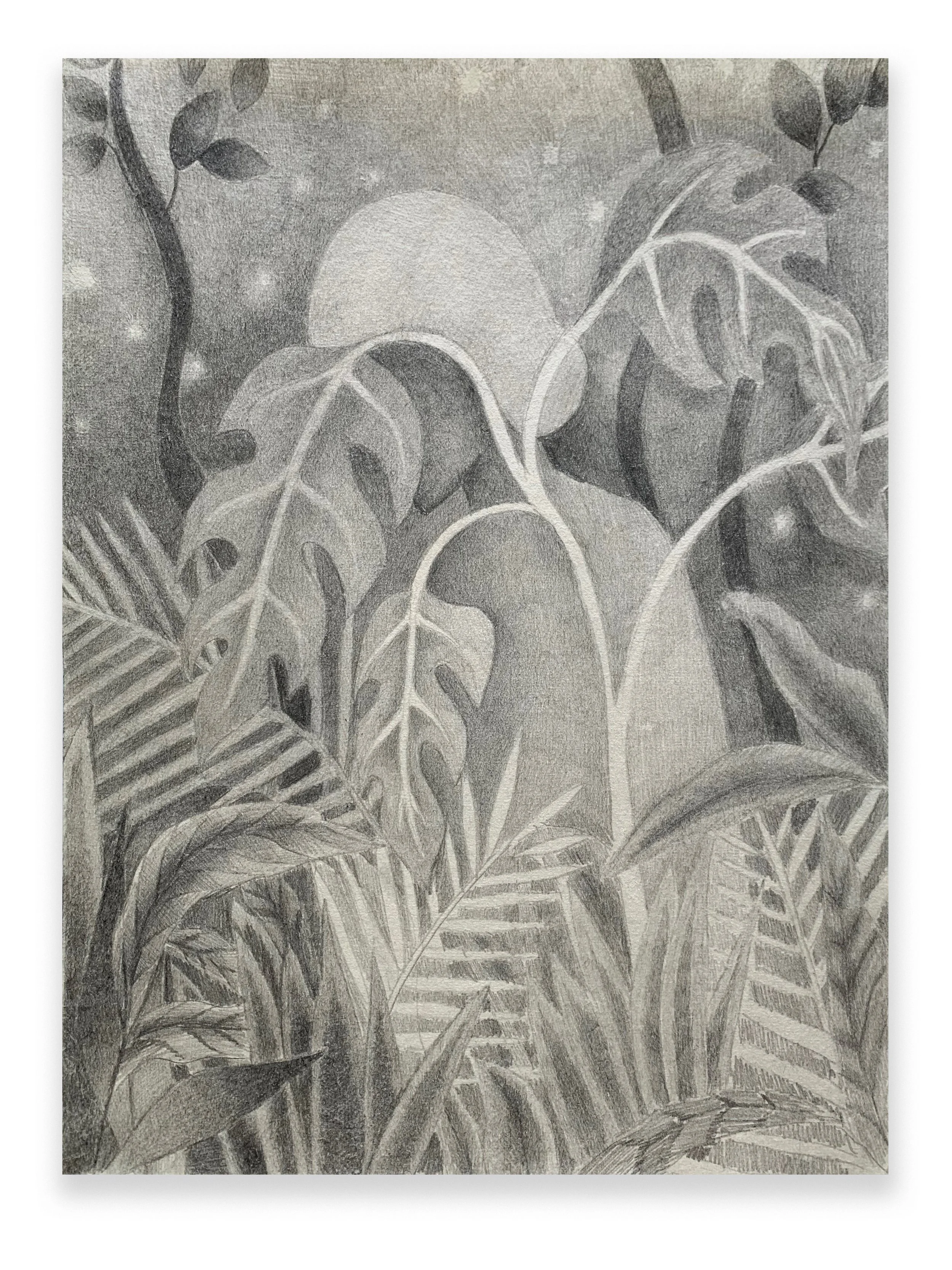 Hunter, 2023, graphite on Japanese paper
9.25” x 12.25," $1,000