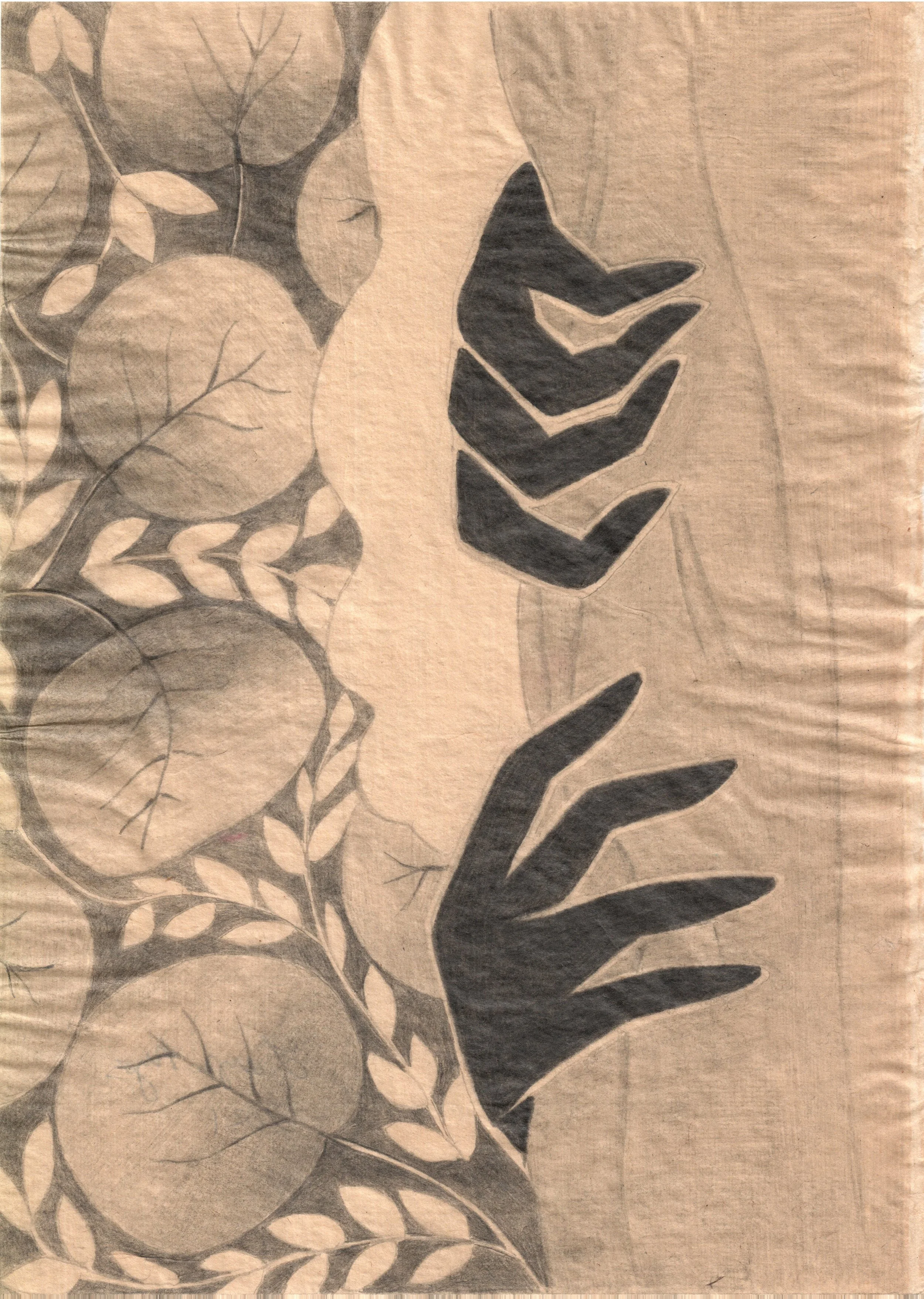 Curtains, 2021, graphite on Japanese paper, 
11.75” x 8.25” $1,400