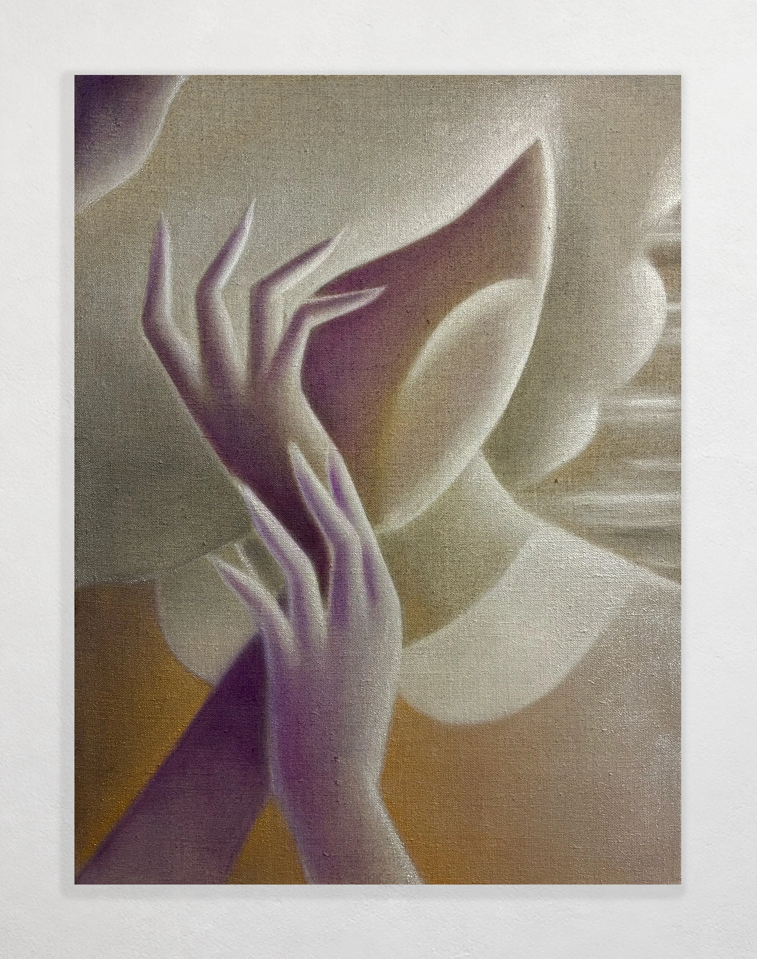 Orchid, oil on linen, 2026, 16"x12"