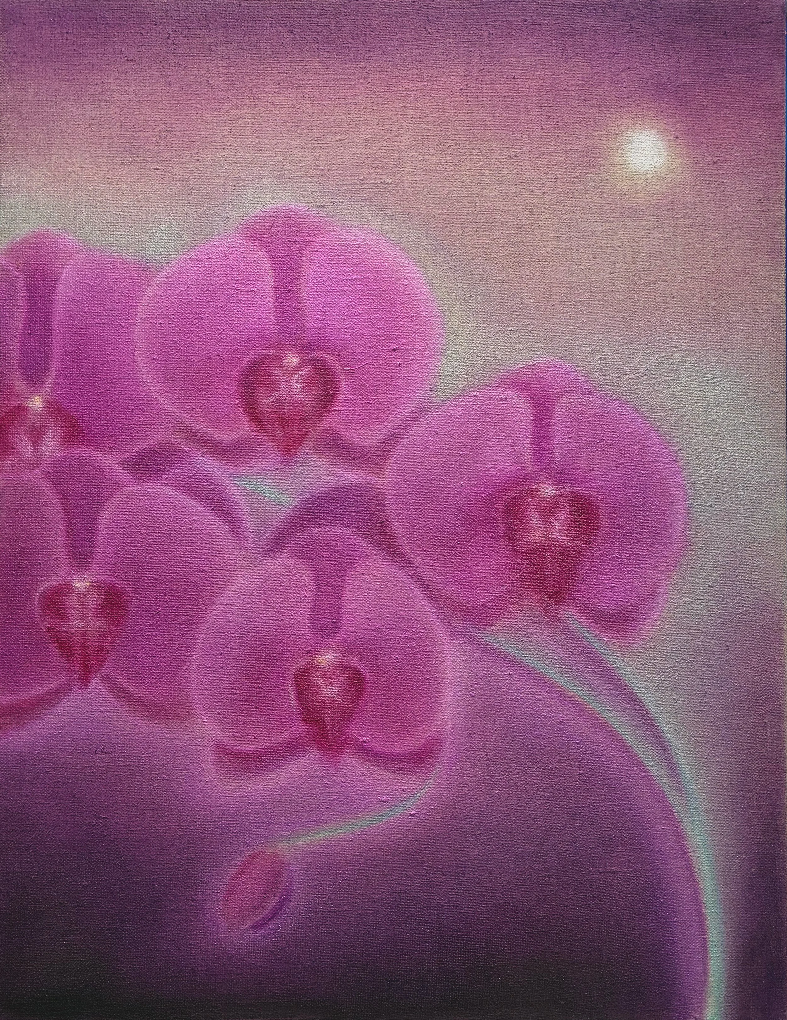Night Blooming, 2026, oil on linen, 16" x 12"