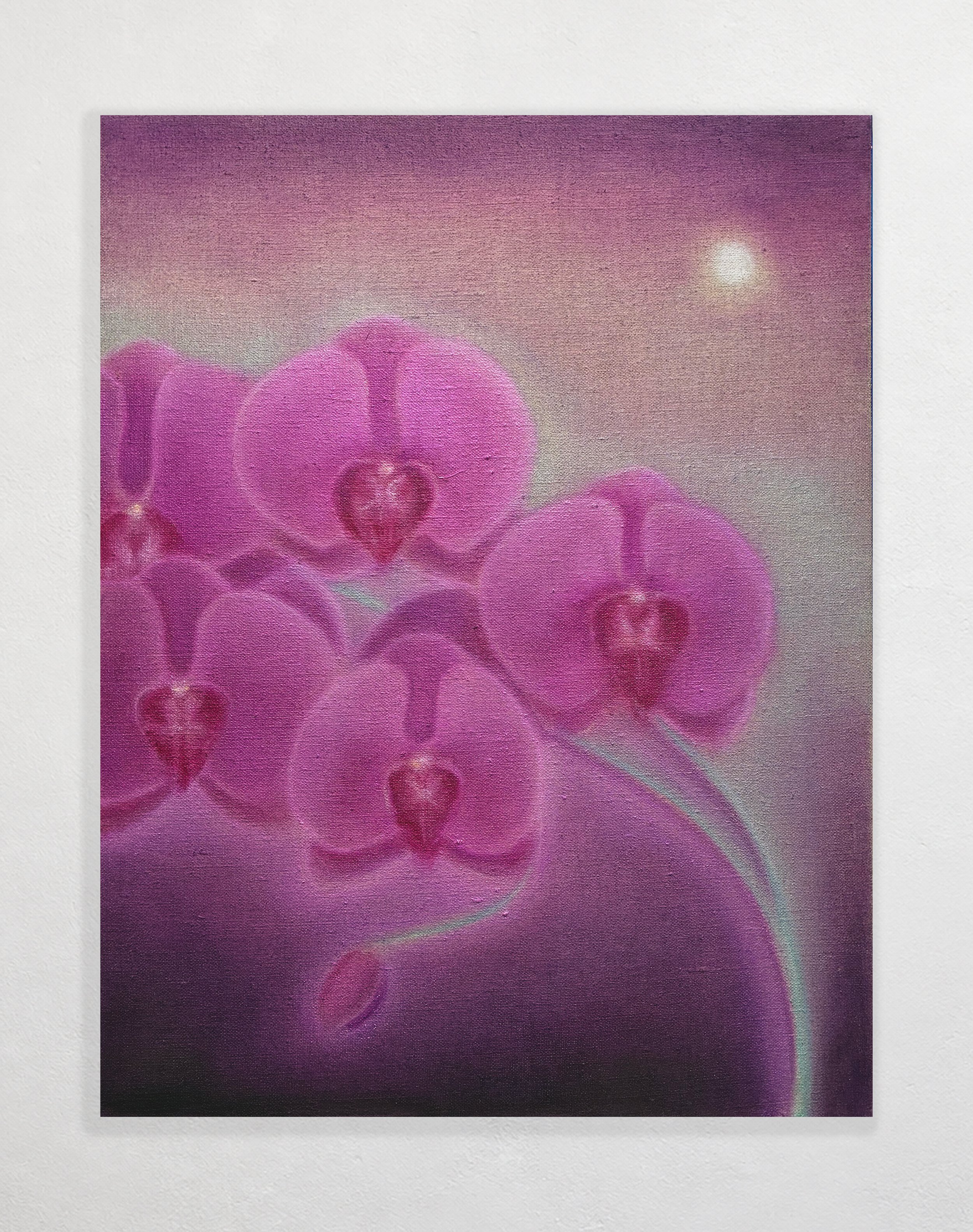 Nightblooming, oil on linen, 2026, 16"x12"