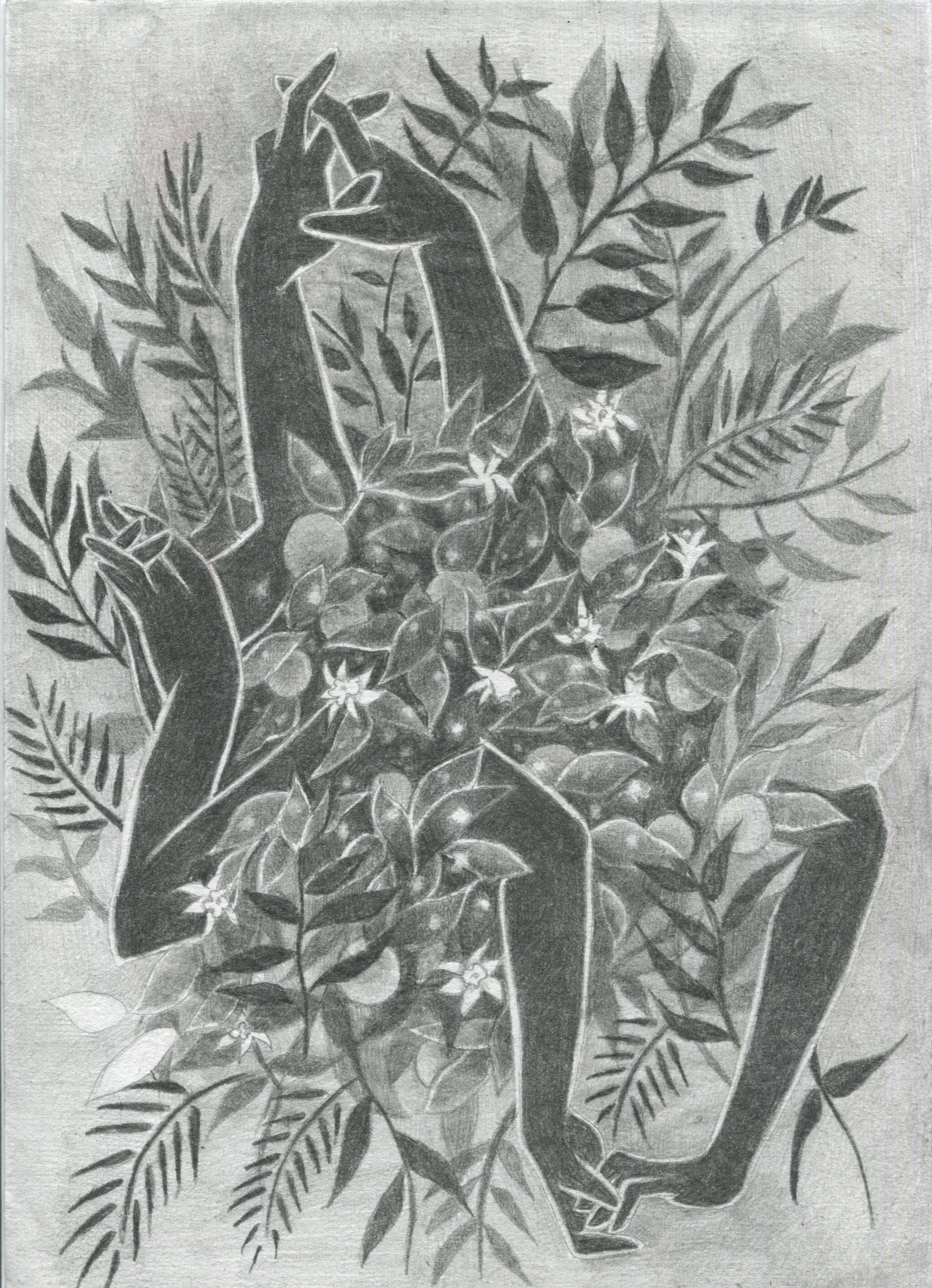 Three Graces, 2020, Graphite on Japanese Paper, 8.25” x 11.75," $700