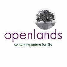 openslands.jfif