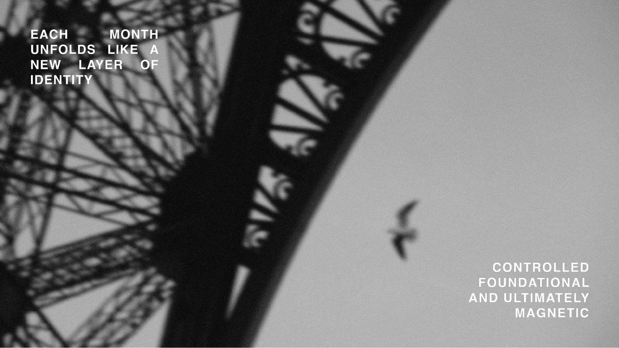 06 - Denim Is Her Foundation.jpg