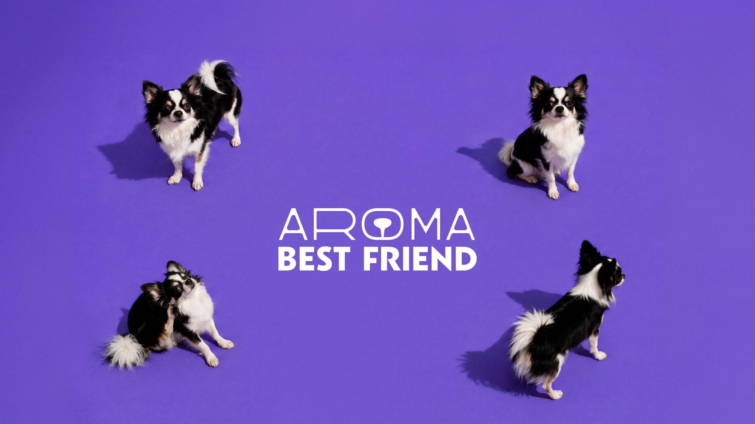 Aroma Best Friend