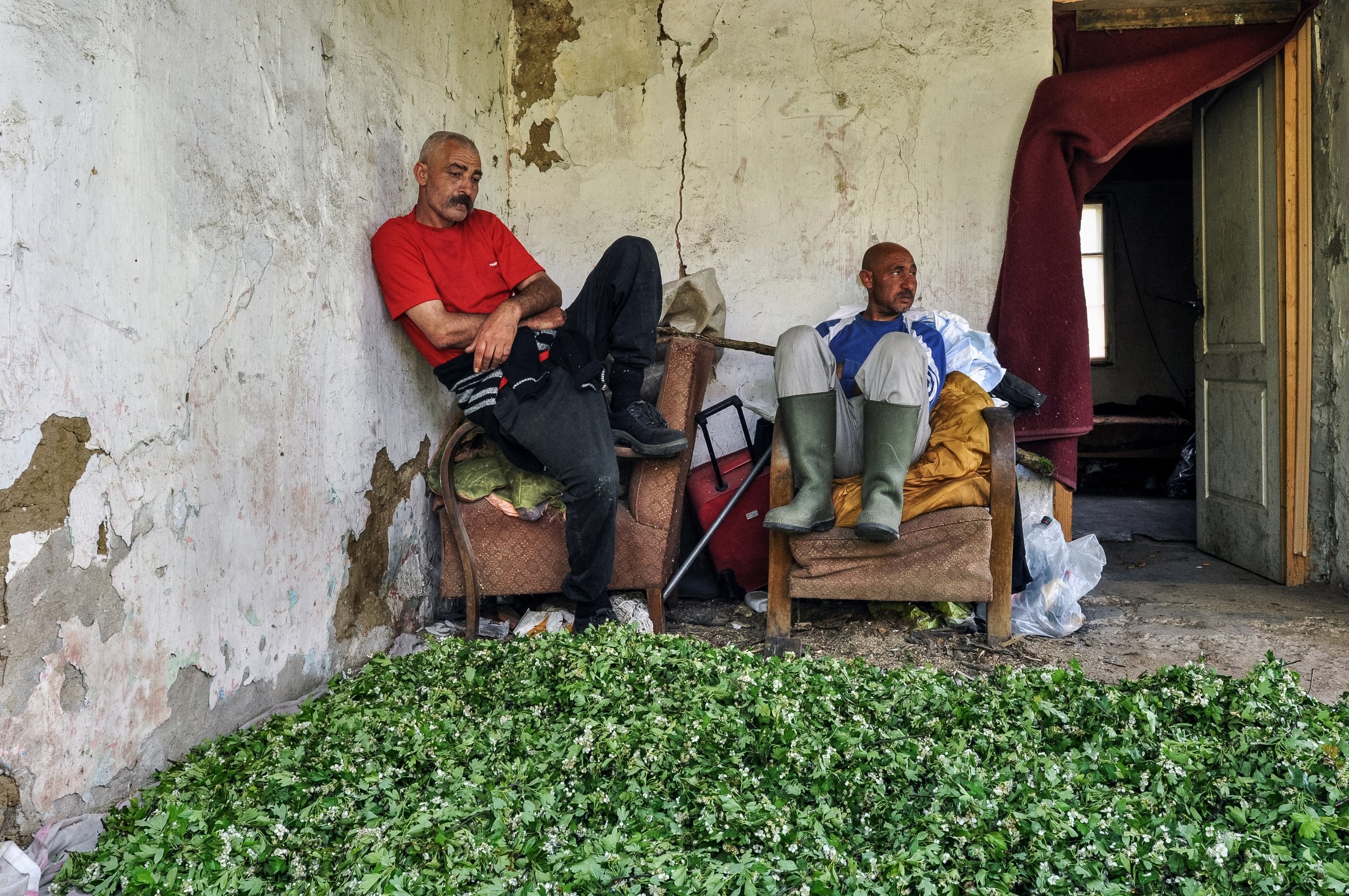 They supplement their income with money earned from collecting snails and picking mushroom and herb. They can harvest up to 15 kg of herbs at each occasion, which the vendor then takes to the surrounding towns or even to Budapest for resale. (2017)