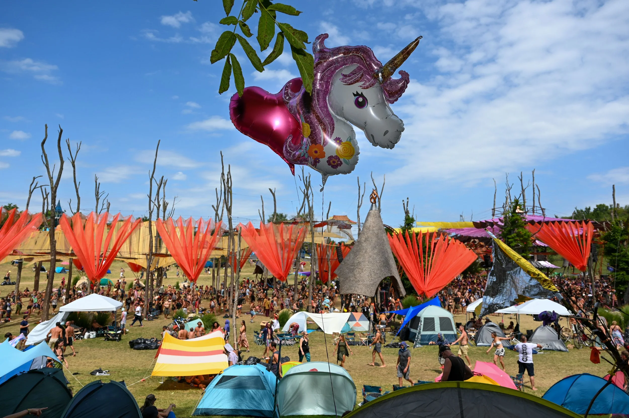 MNN_ozora003.jpg