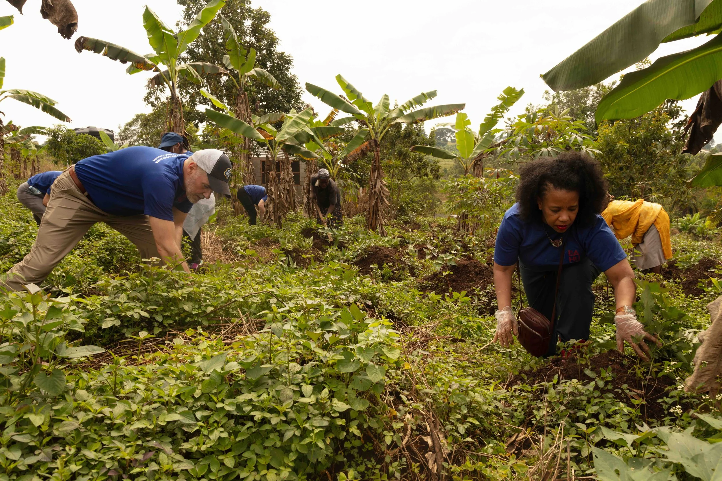 LAHU volunteers helping with the weeding