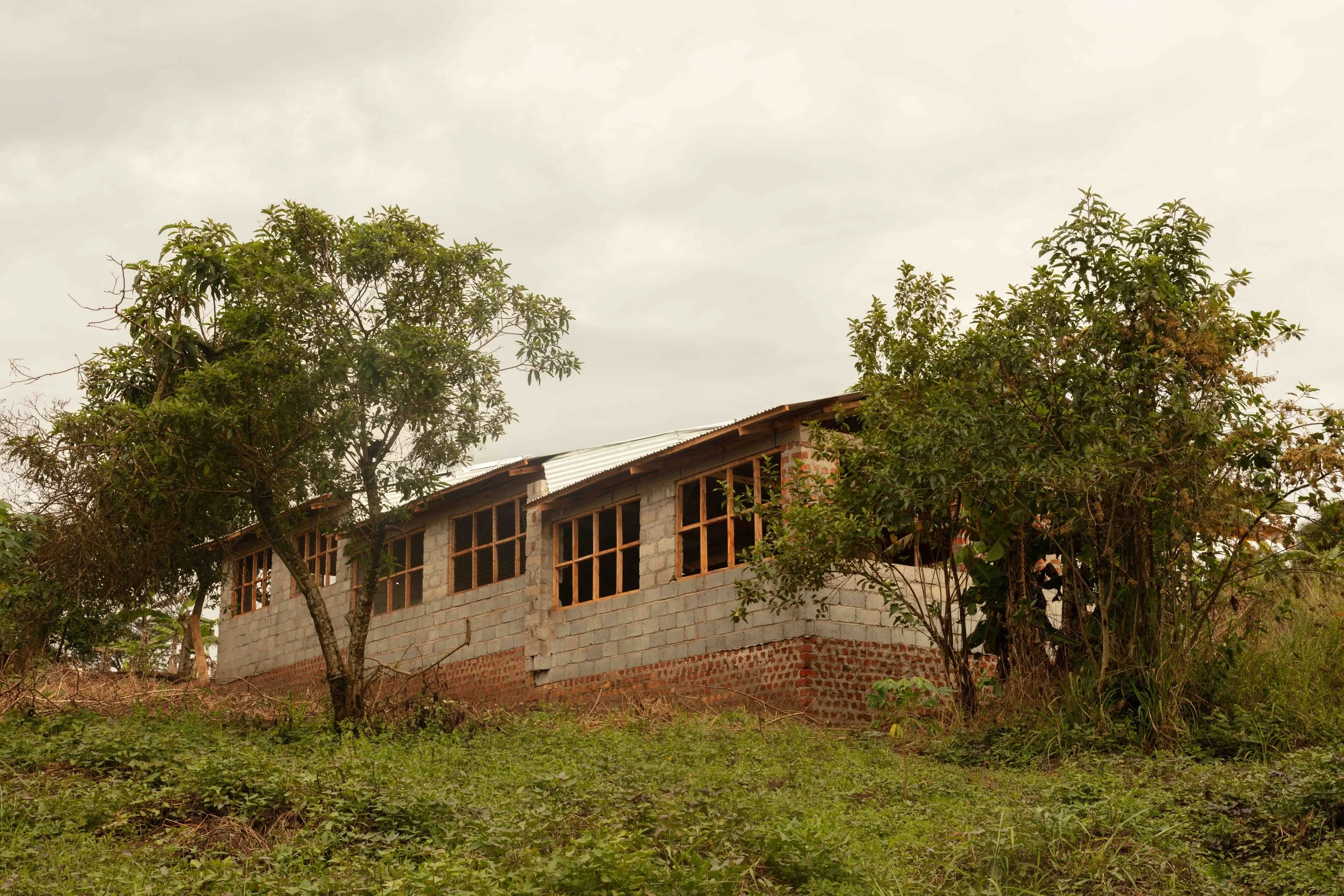 The outside of the chicken coop