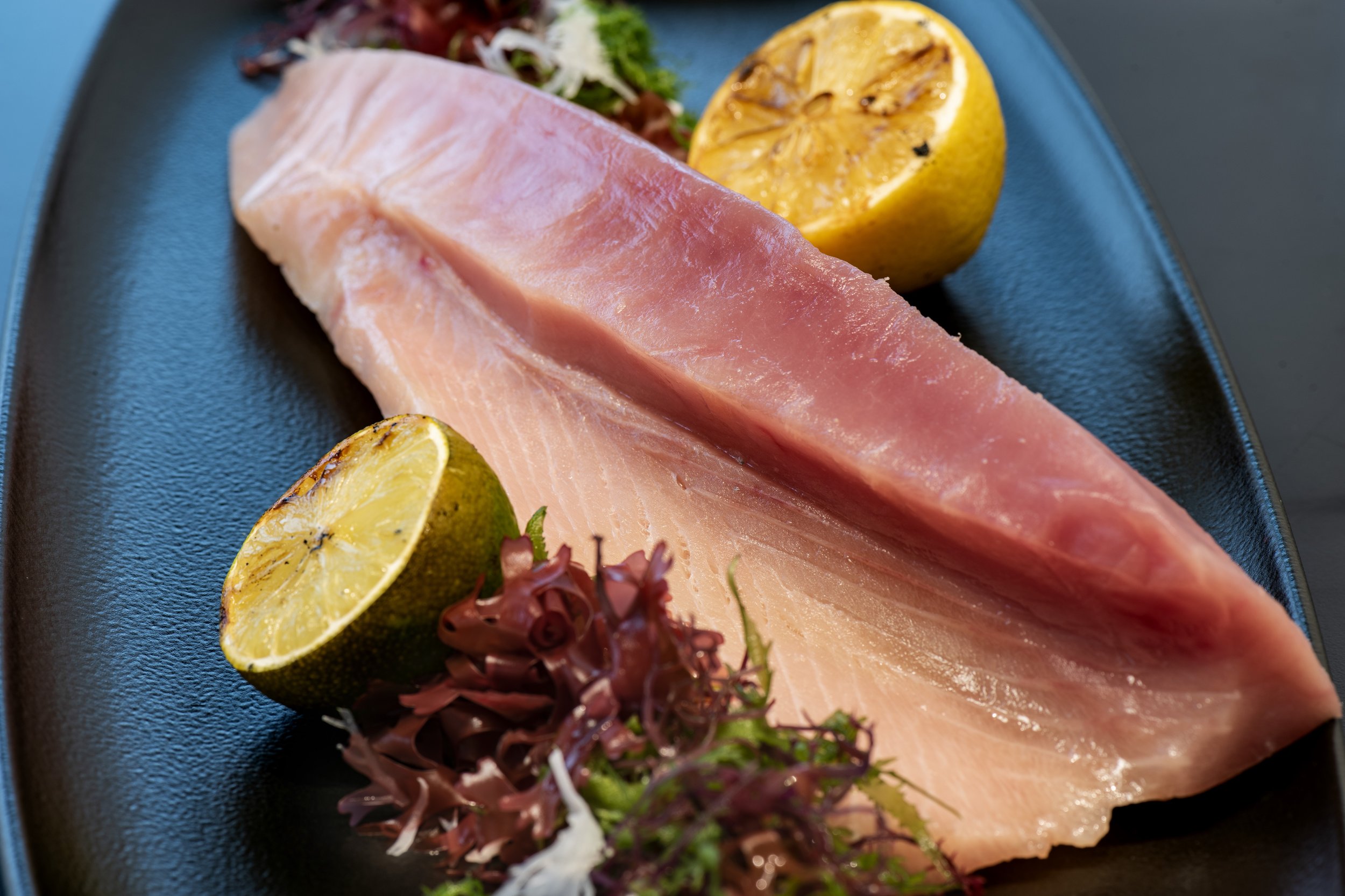 Albacore tuna loin 16x24 - Copy - Copy.jpeg