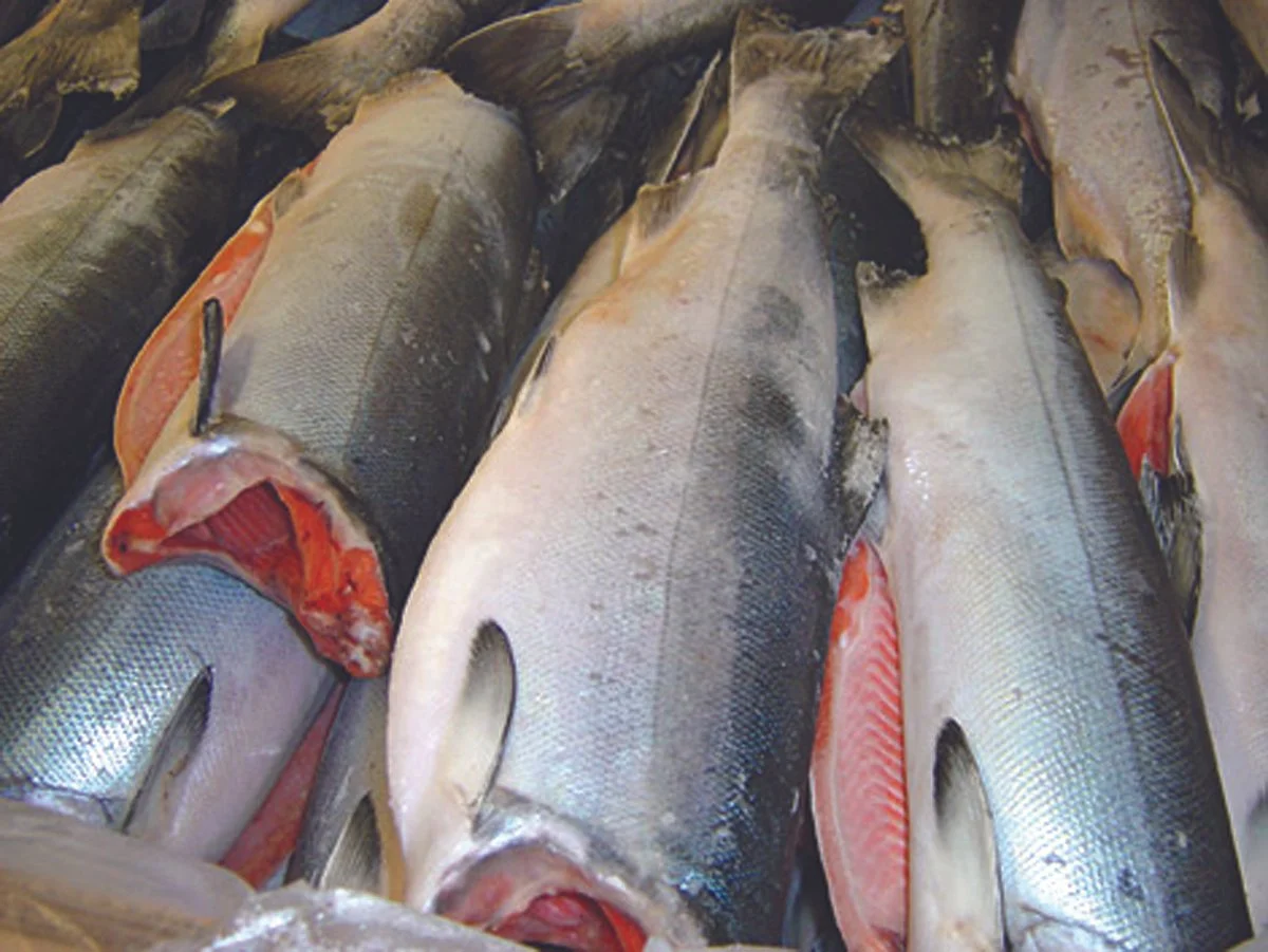 C2C Premium Seafood