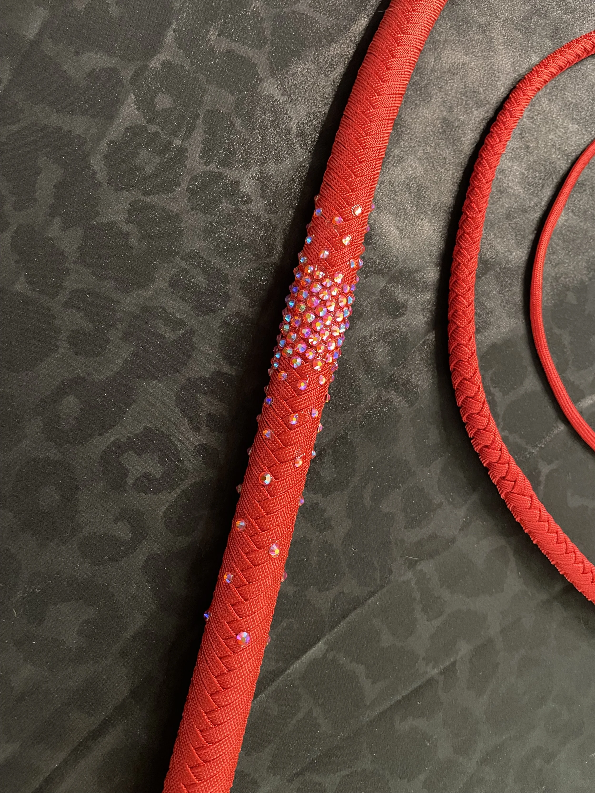 Detailed look at "Raquel's Whip"