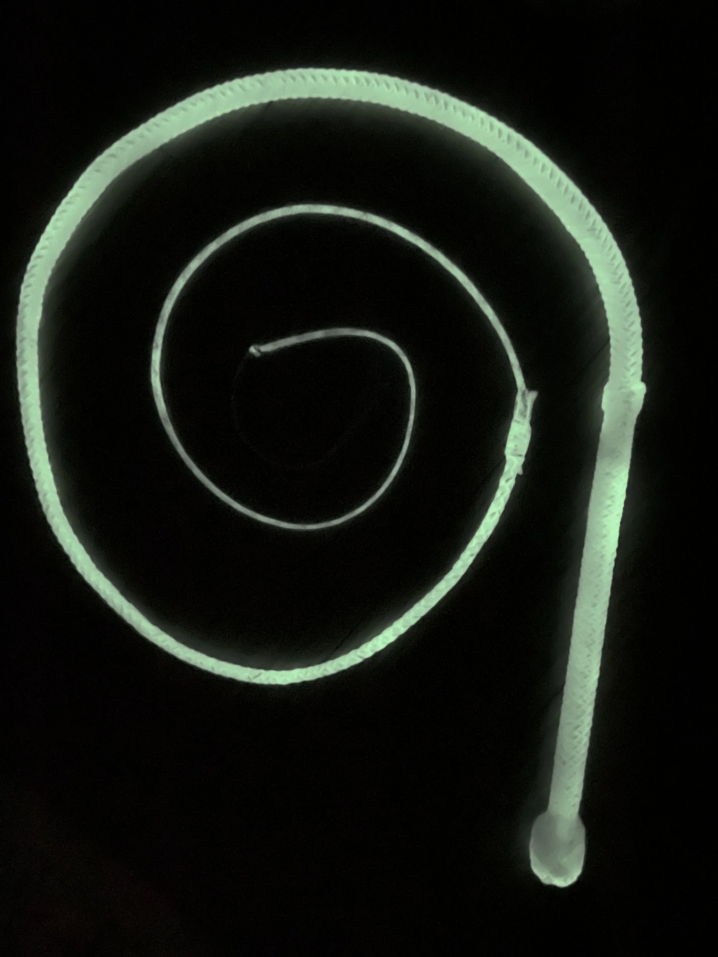 Glow-in-the-dark shoelace curled in a spiral on a black background.