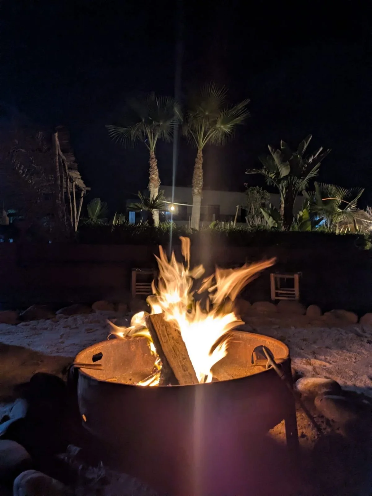 WhatsApp Image 2026-02-20 at 10.37.51 (1).jpeg