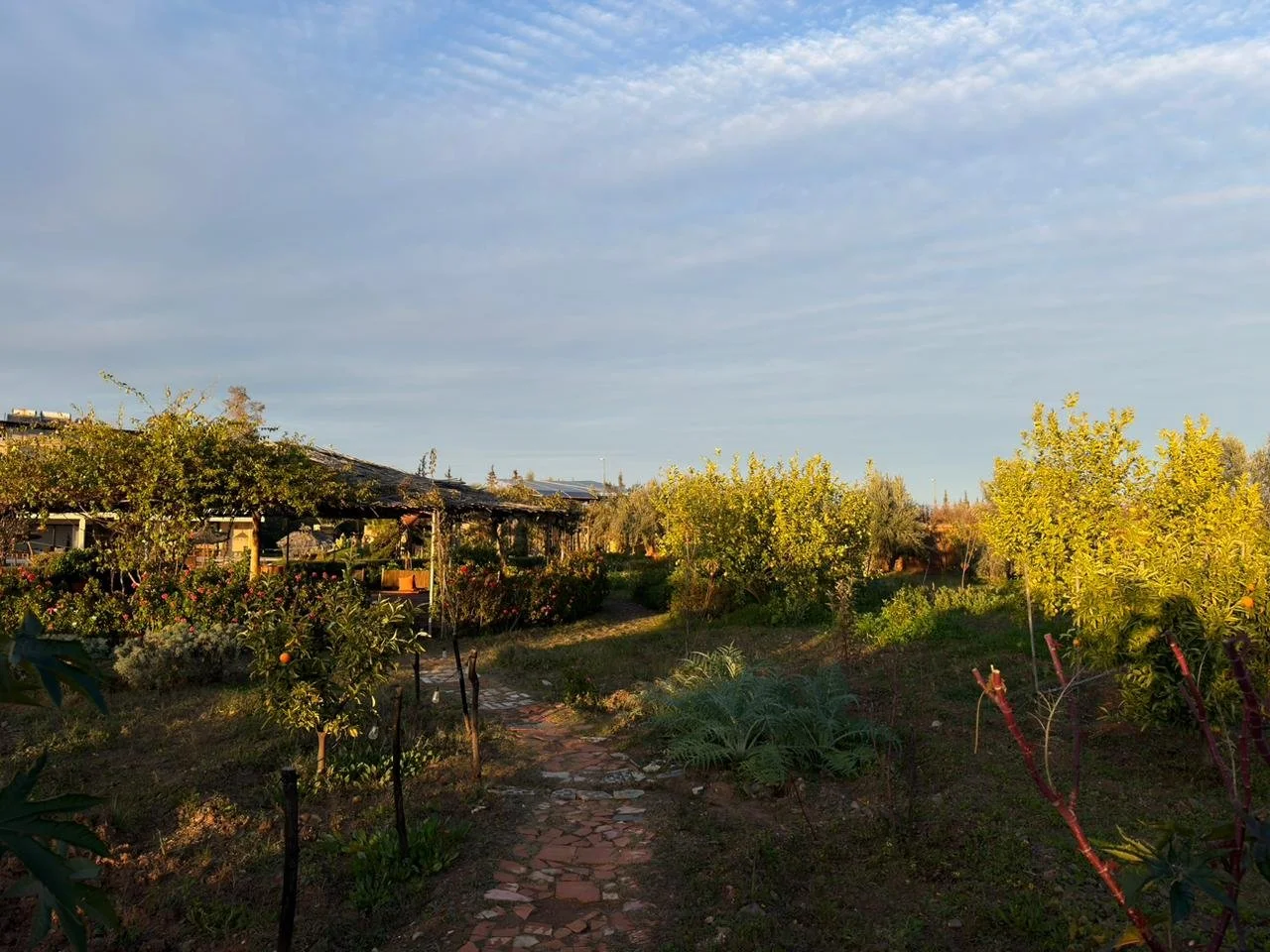 WhatsApp Image 2026-02-20 at 10.34.25 (4).jpeg