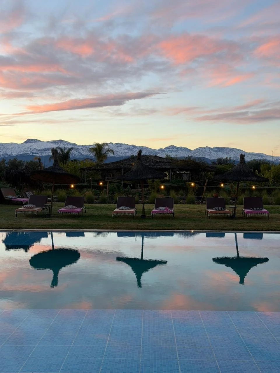 WhatsApp Image 2026-02-20 at 10.34.26 (5).jpeg