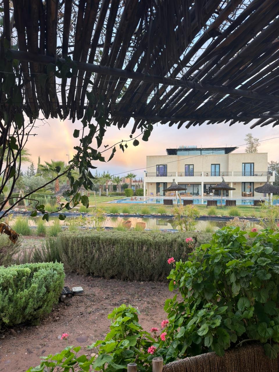 WhatsApp Image 2026-02-20 at 10.34.25 (2).jpeg