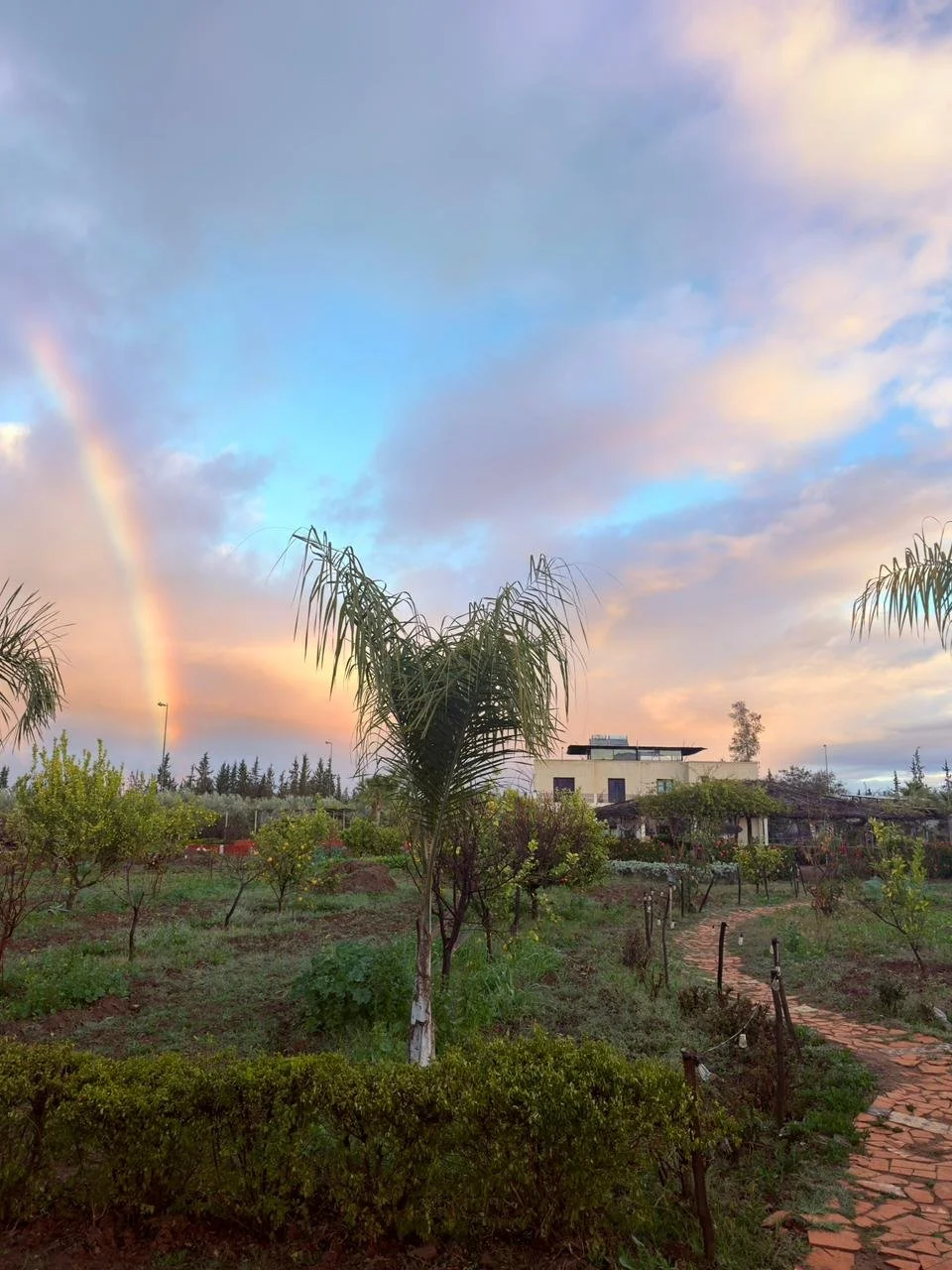 WhatsApp Image 2026-02-20 at 10.34.25 (3).jpeg