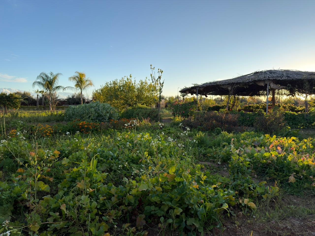 WhatsApp Image 2026-02-20 at 10.34.26 (1).jpeg