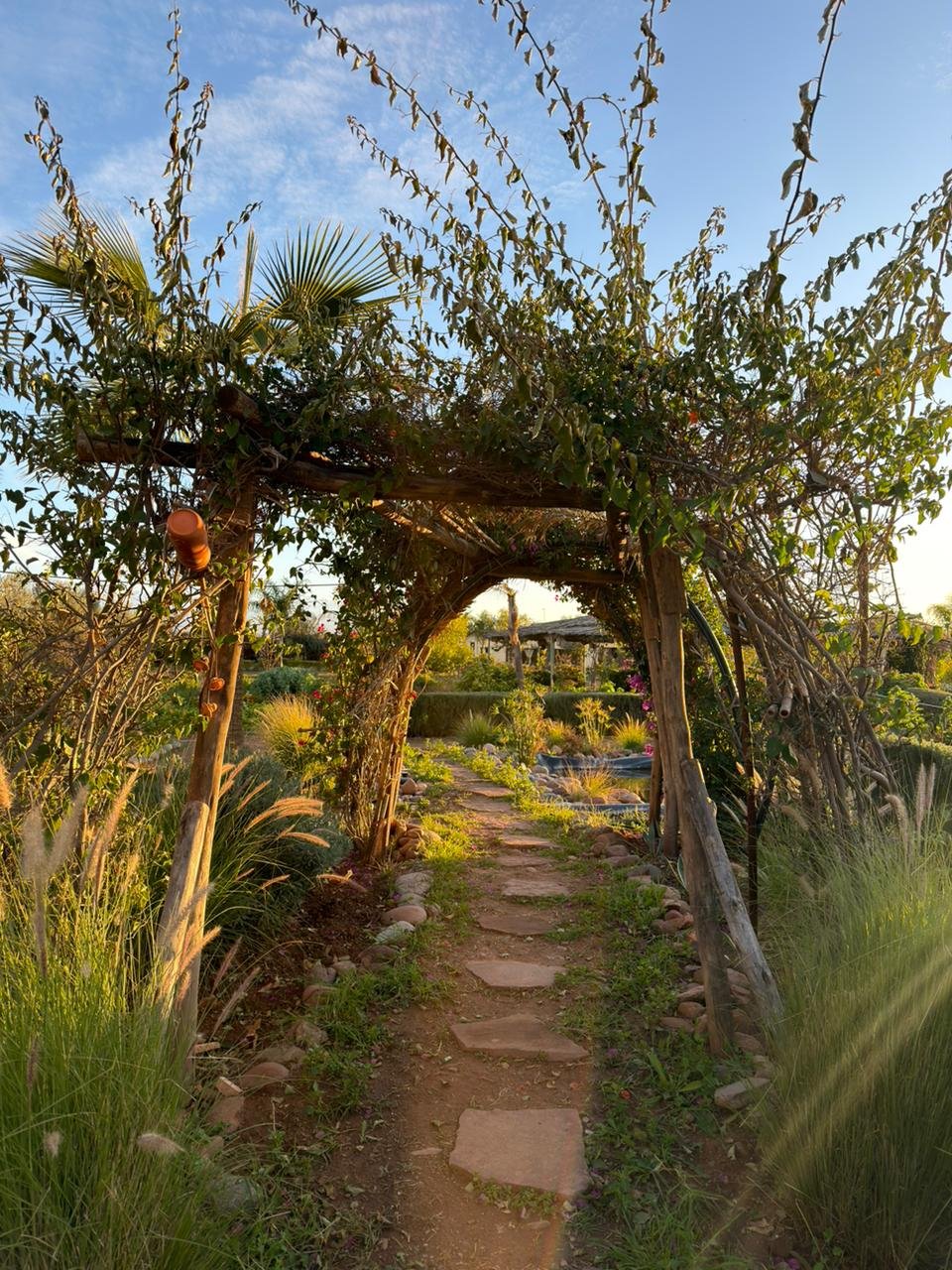 WhatsApp Image 2026-02-20 at 10.34.26 (2).jpeg