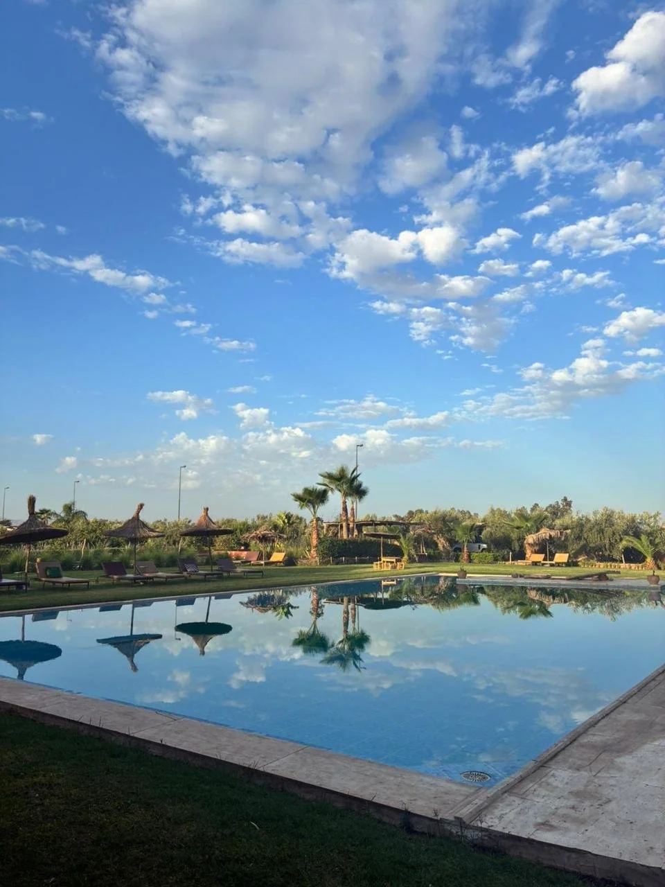 WhatsApp Image 2026-02-20 at 10.37.21 (5).jpeg