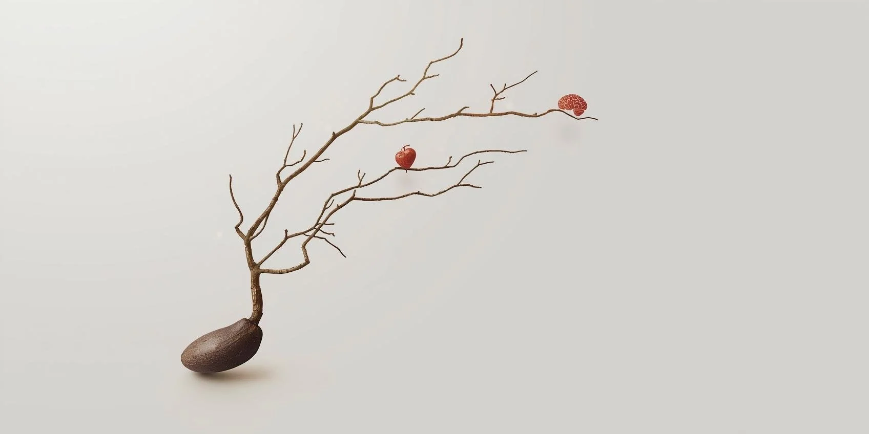 Tree branches with a brain and heart showing benefits of personal development life coaching growth.