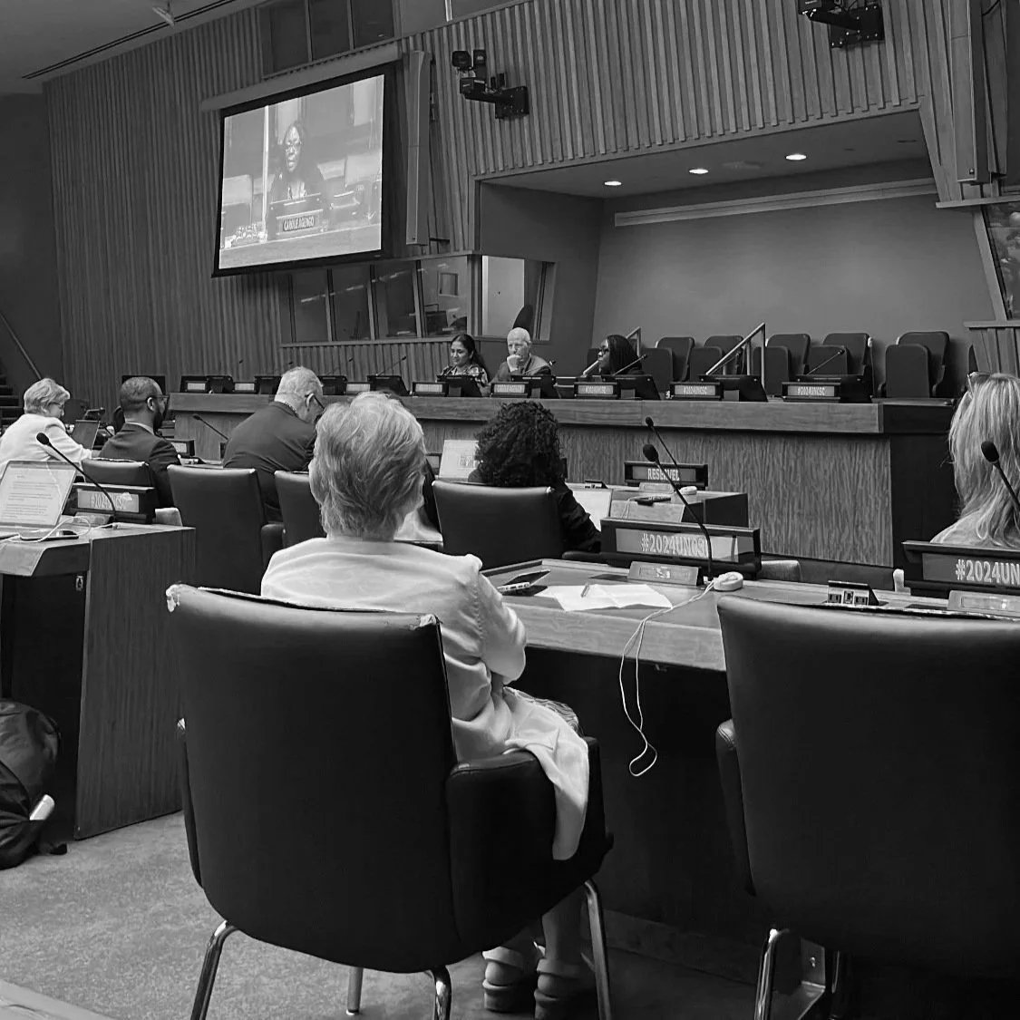 UN Civil Society Conference Yields Woke Outcome Document