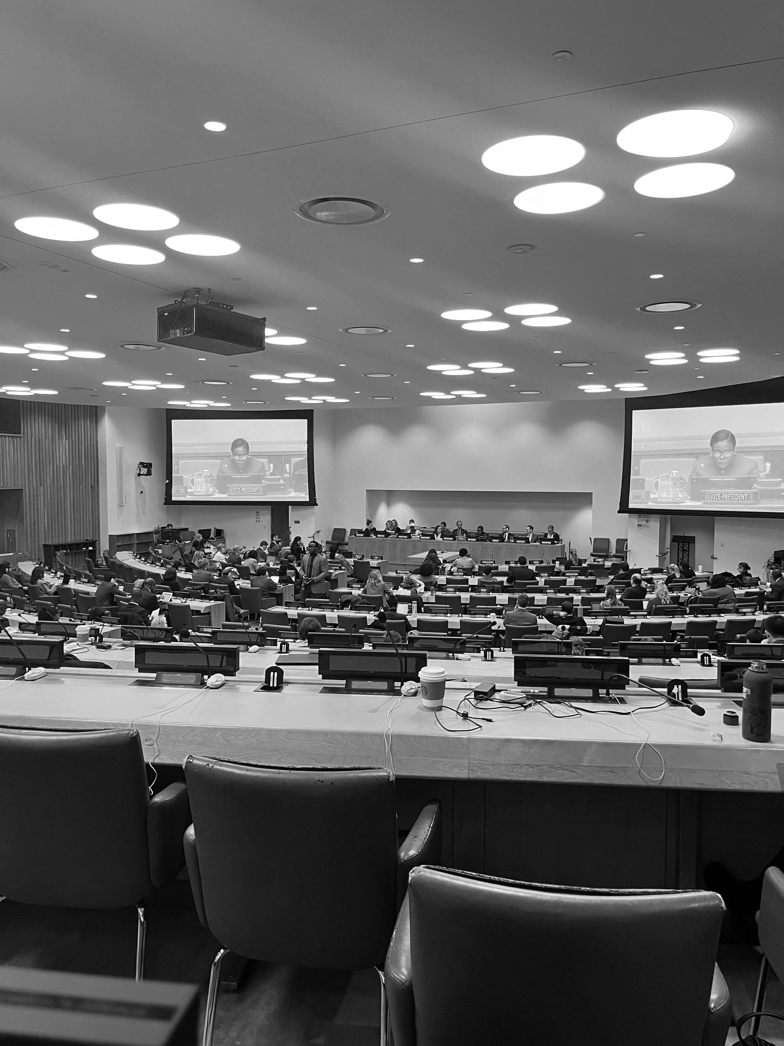 UN This Week: Feb 12-15