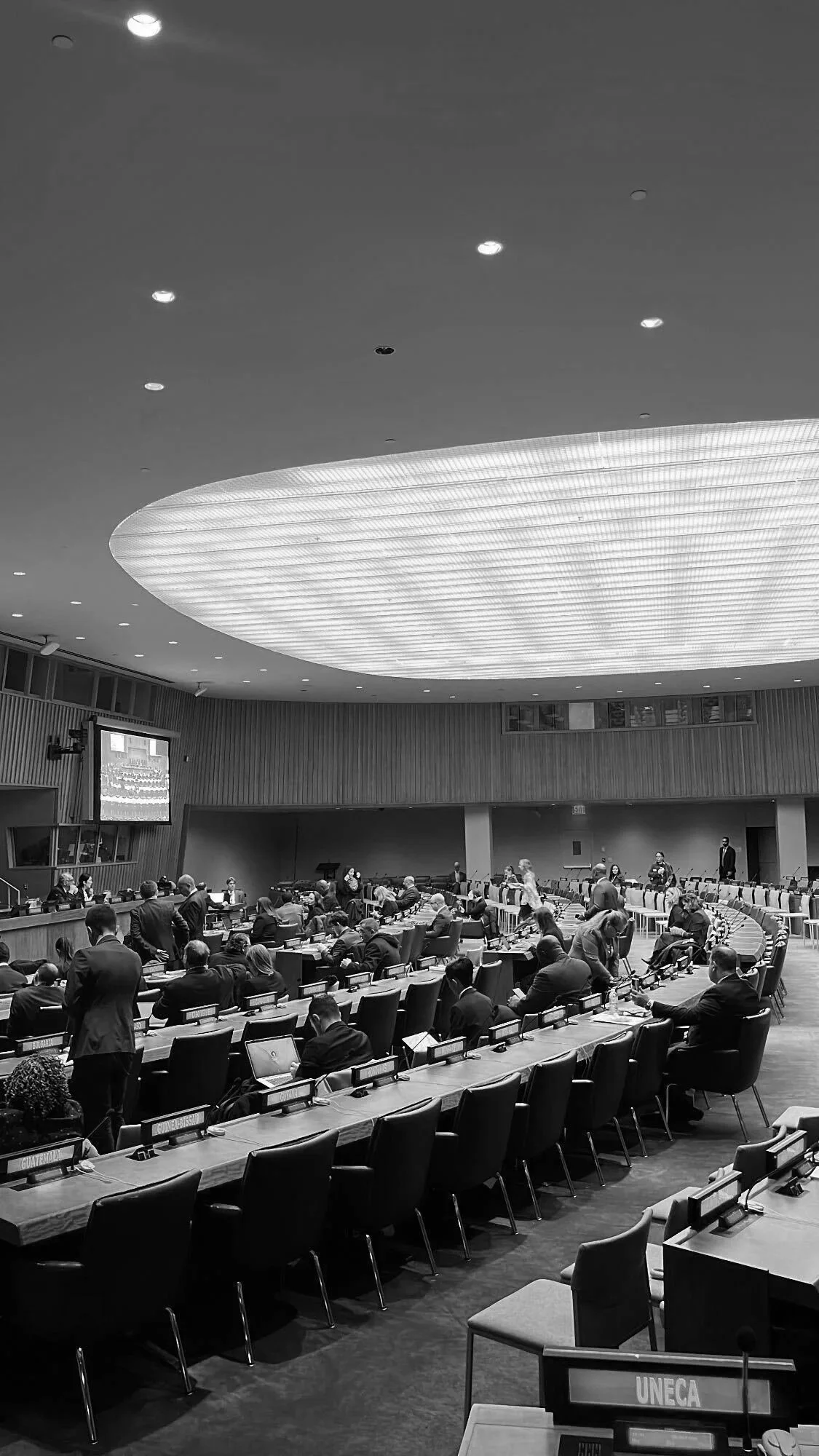 UN This Week Feb 5-8