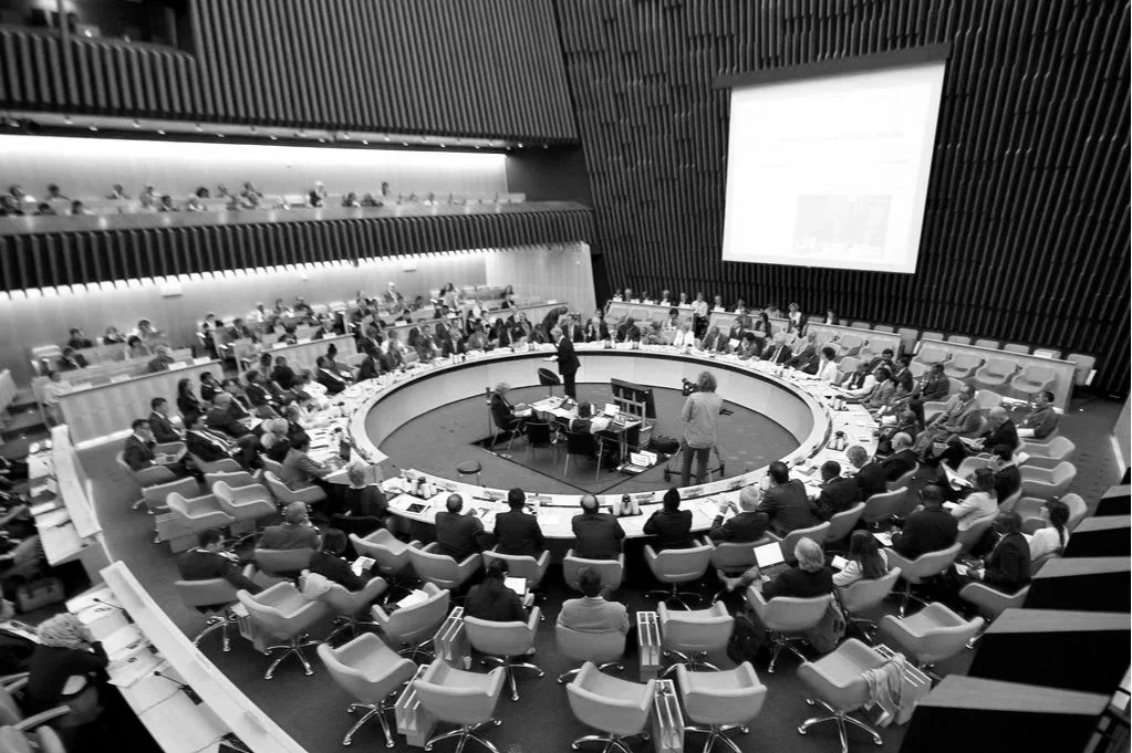 UN This Week Jan 8-11