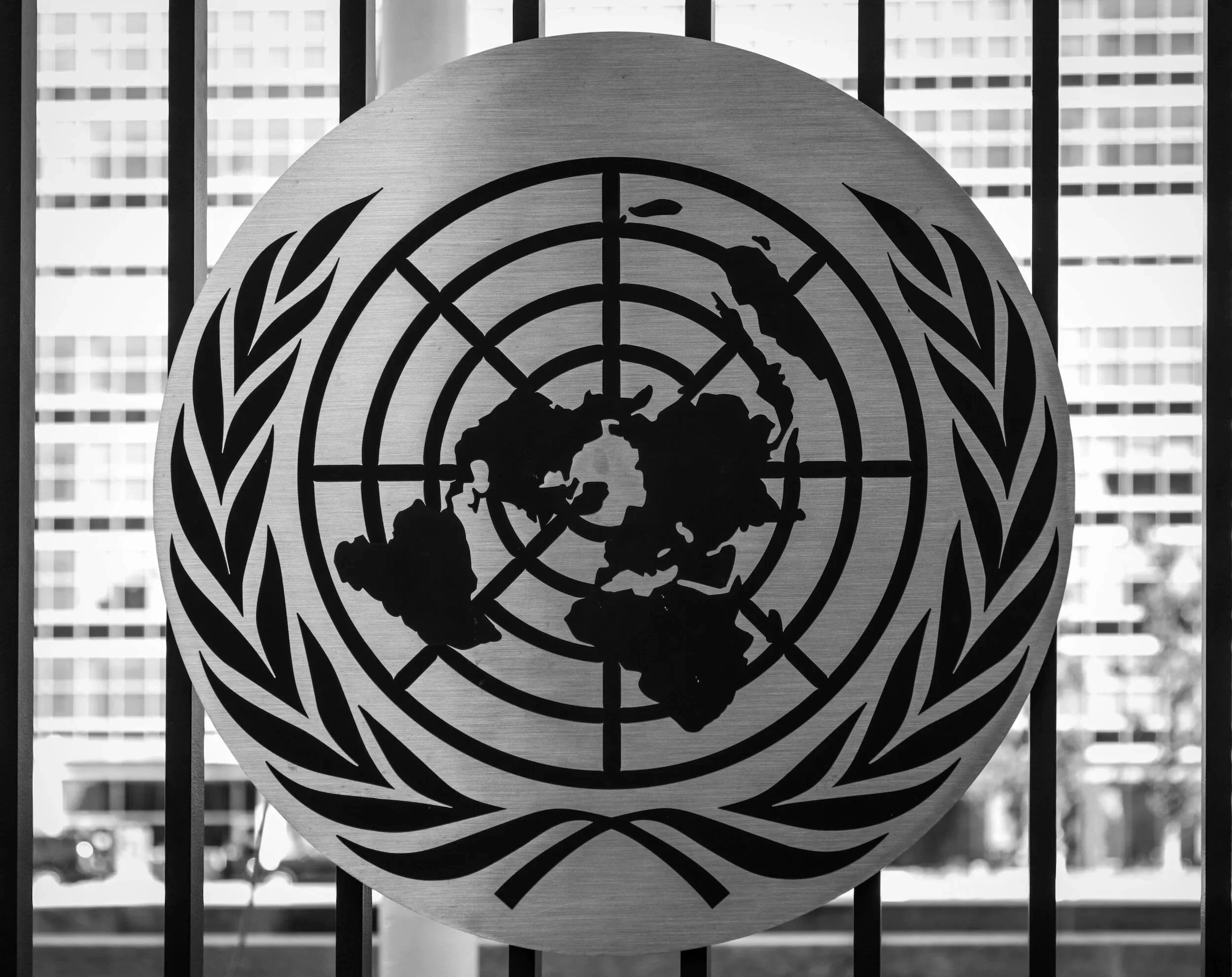 UN This Week Jan 1- 5