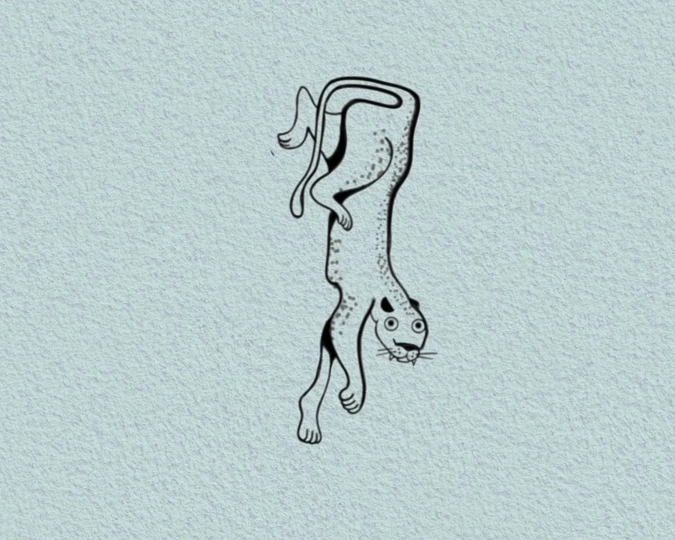26.jpg